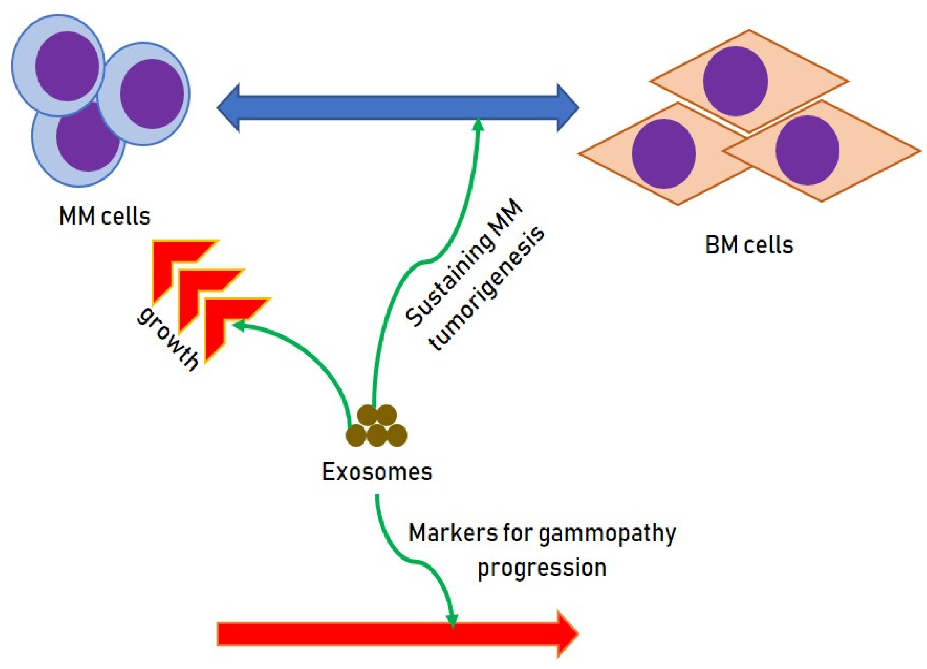 Ims 2025 Myeloma Cel … Misty Teressa