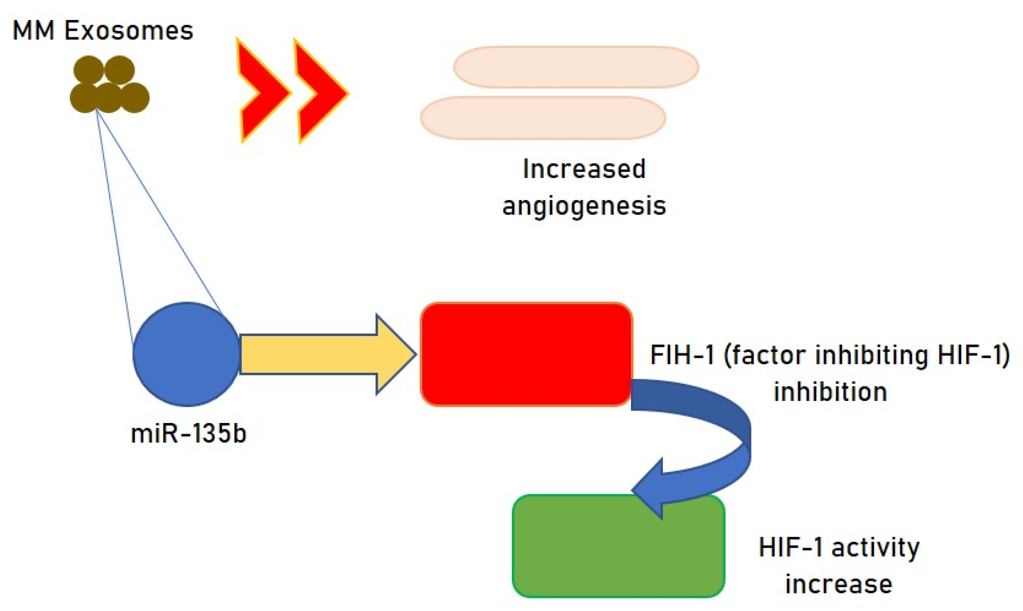 Cells 10 02865 g003 Cells 10 02865 g003