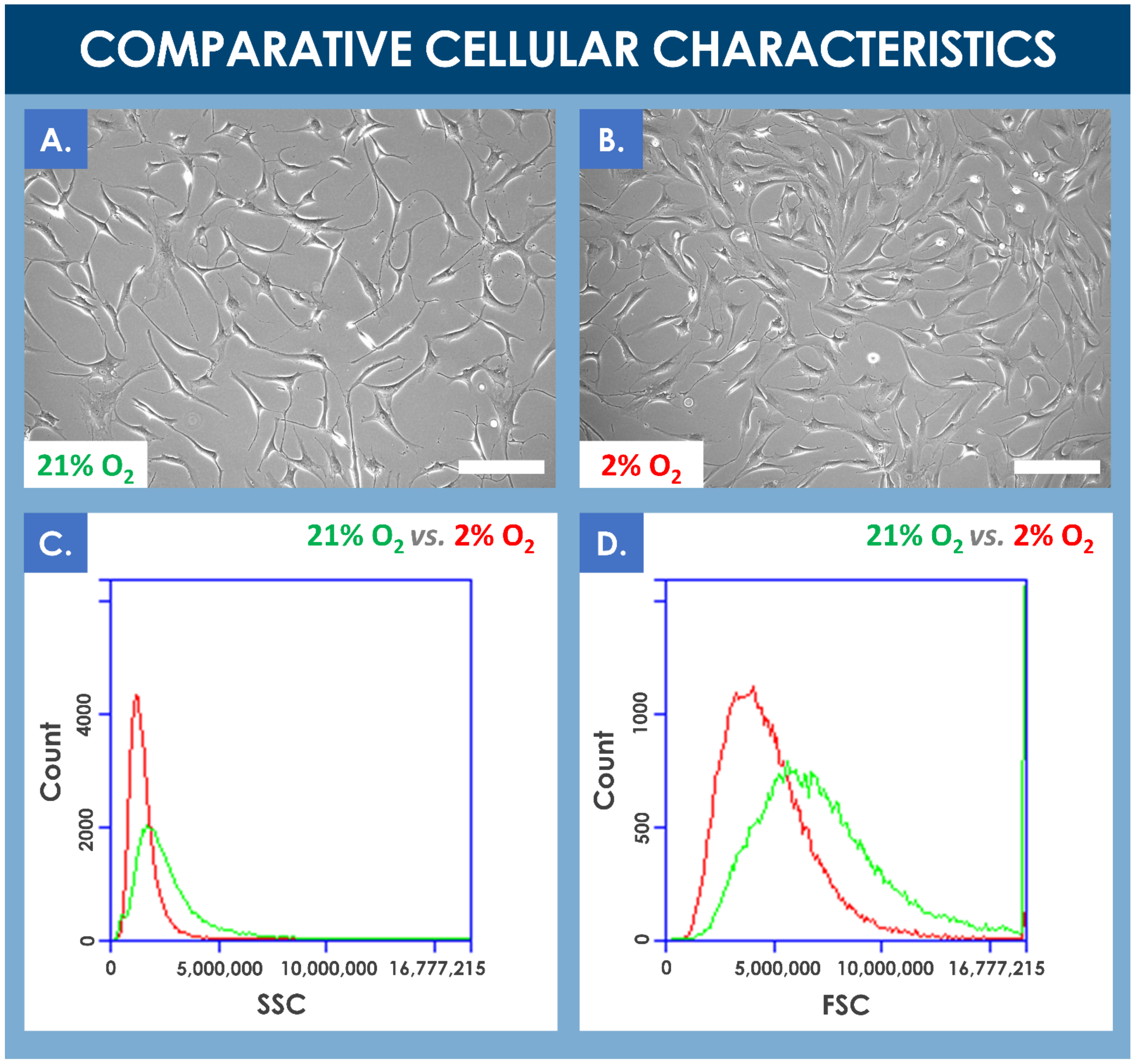 Cells 10 02872 g002 Cells 10 02872 g002