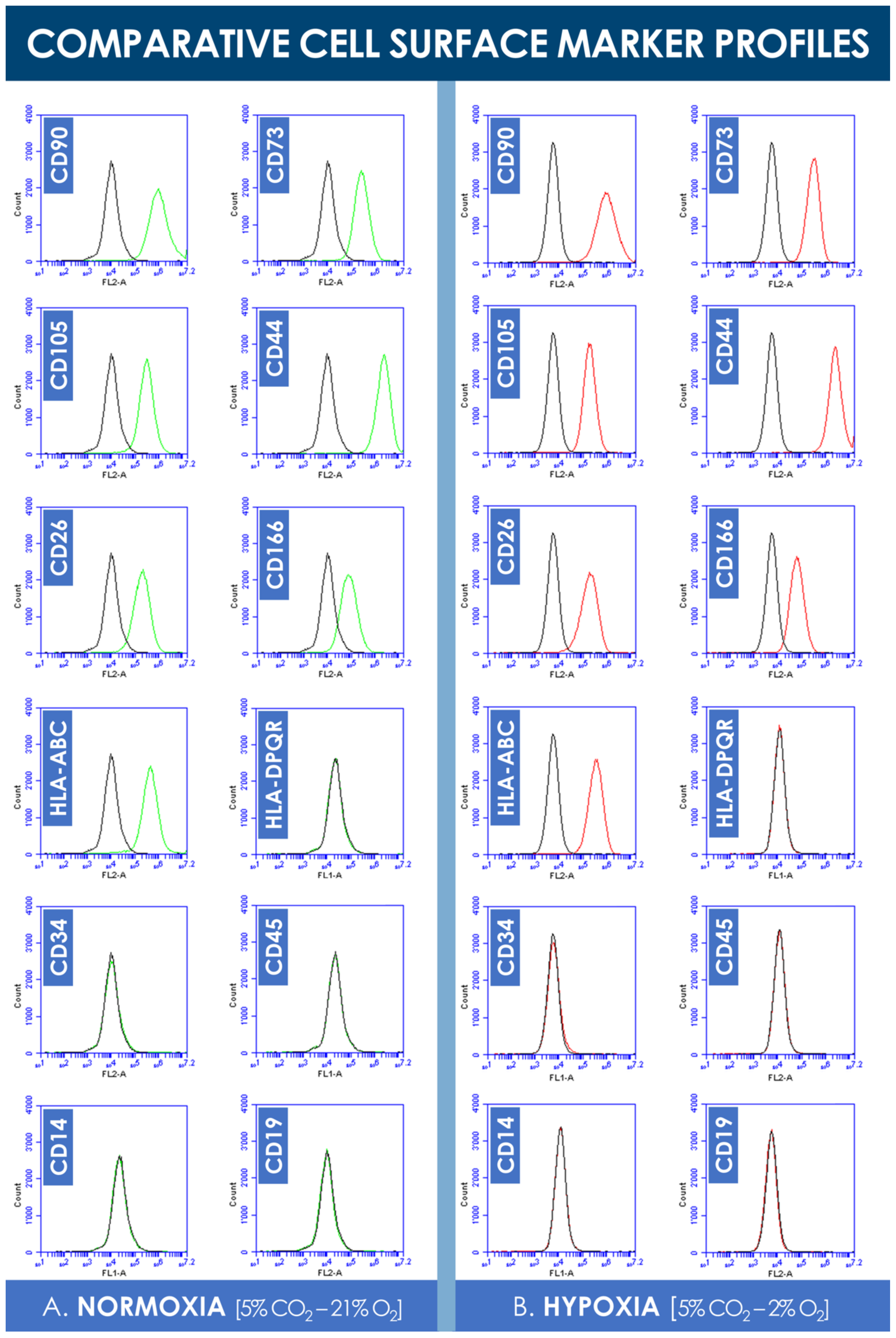 Cells 10 02872 g004 Cells 10 02872 g004
