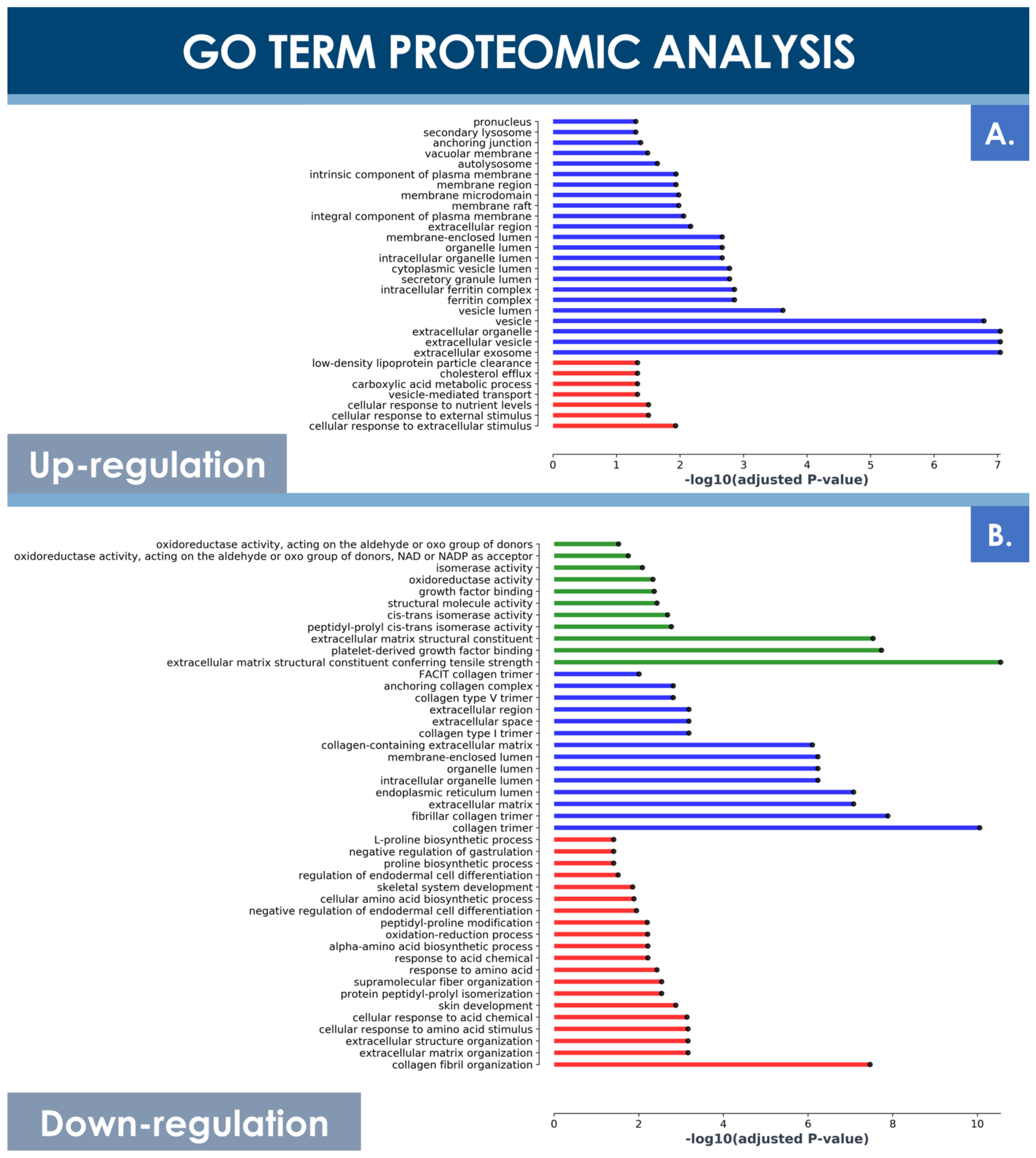 Cells 10 02872 g007 Cells 10 02872 g007