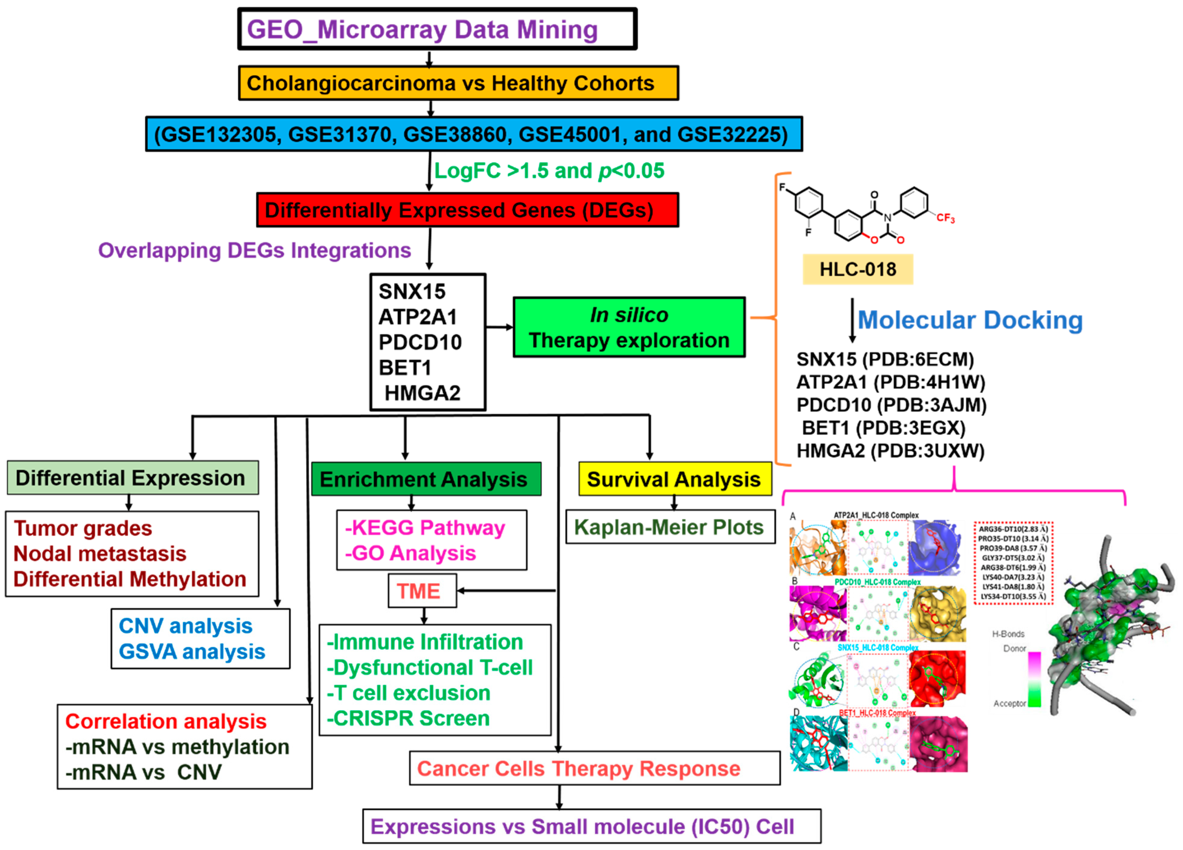 Cells 10 02873 g001 Cells 10 02873 g001