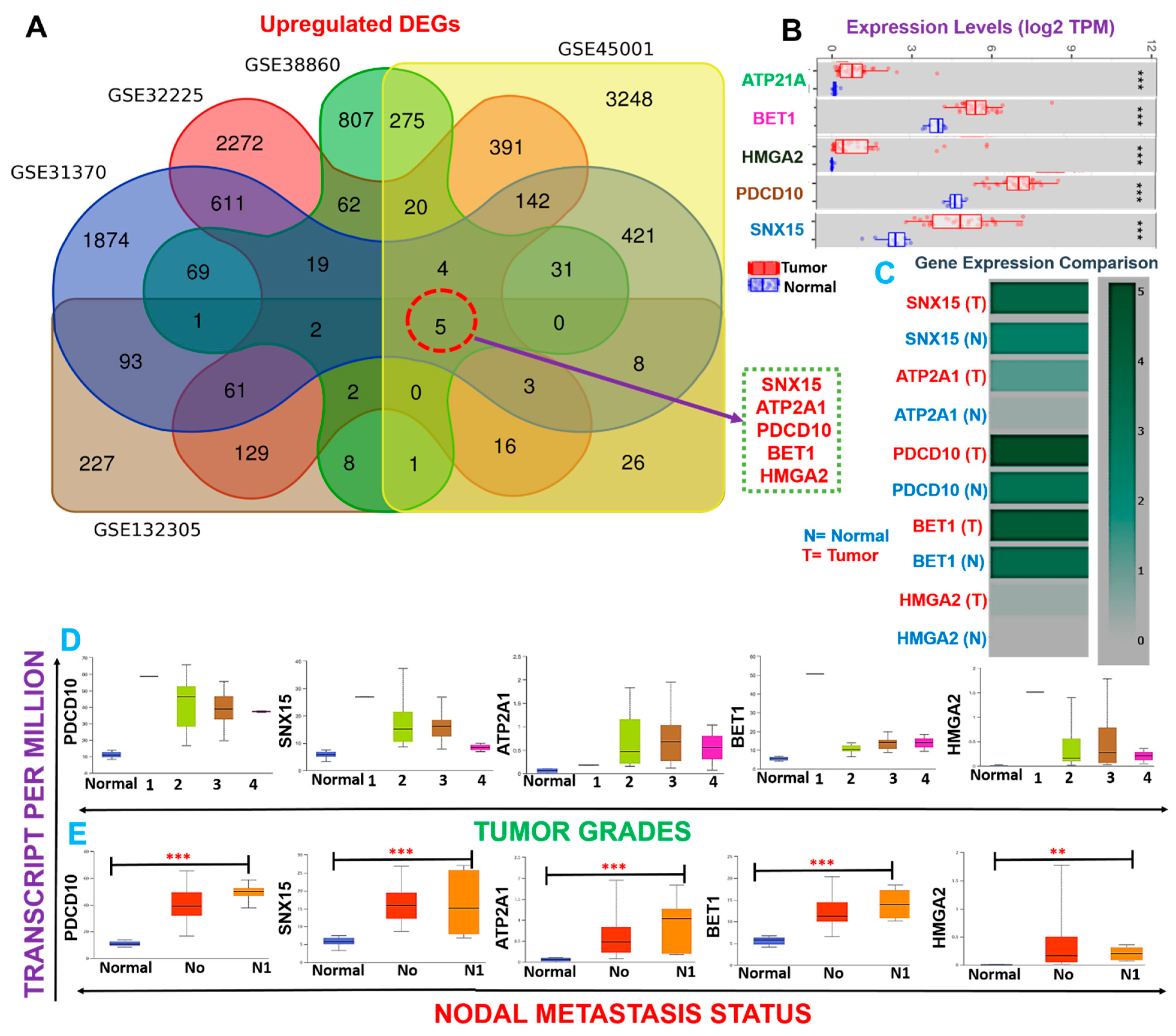 Cells 10 02873 g002 Cells 10 02873 g002