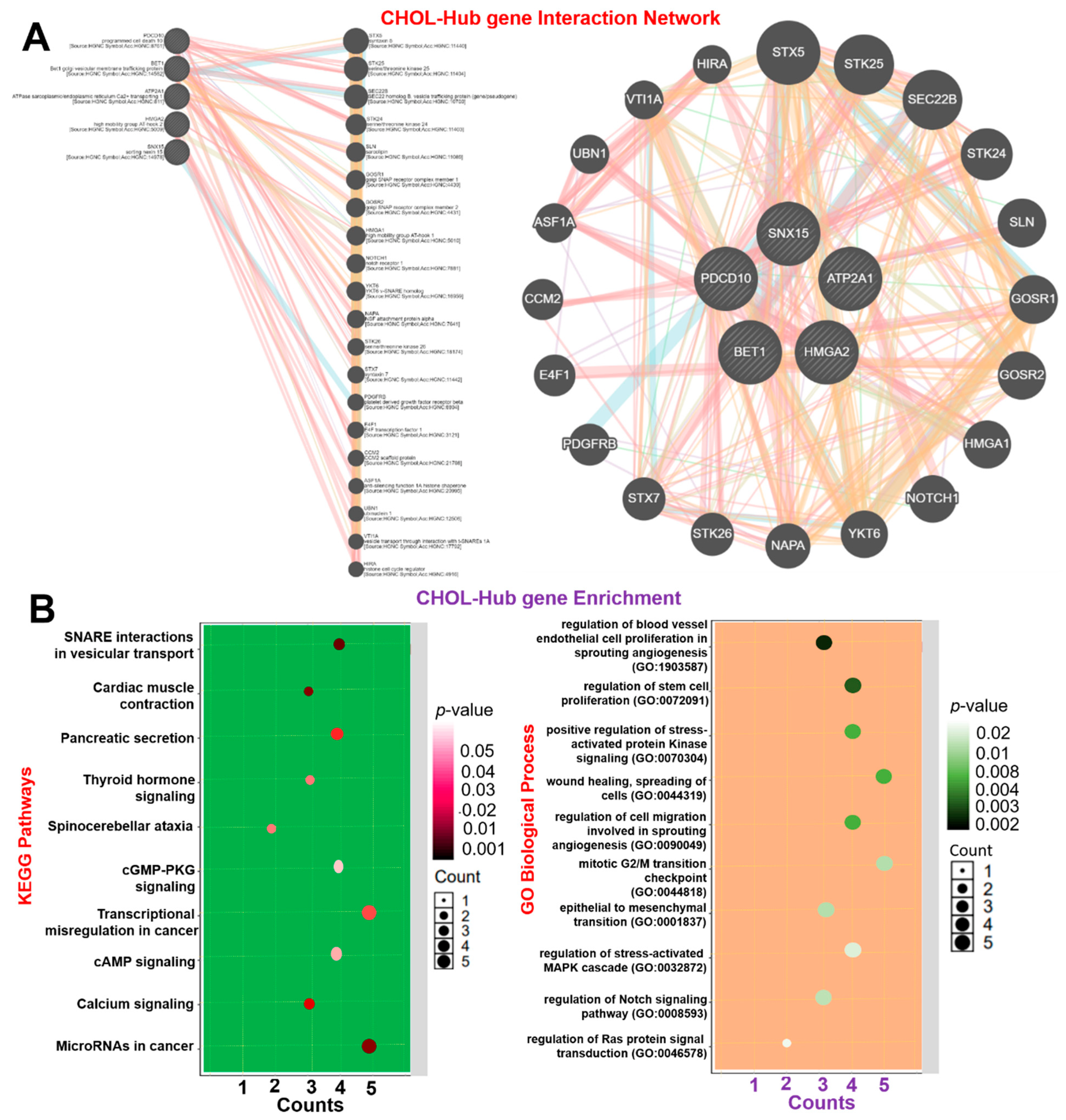 Cells 10 02873 g004 Cells 10 02873 g004