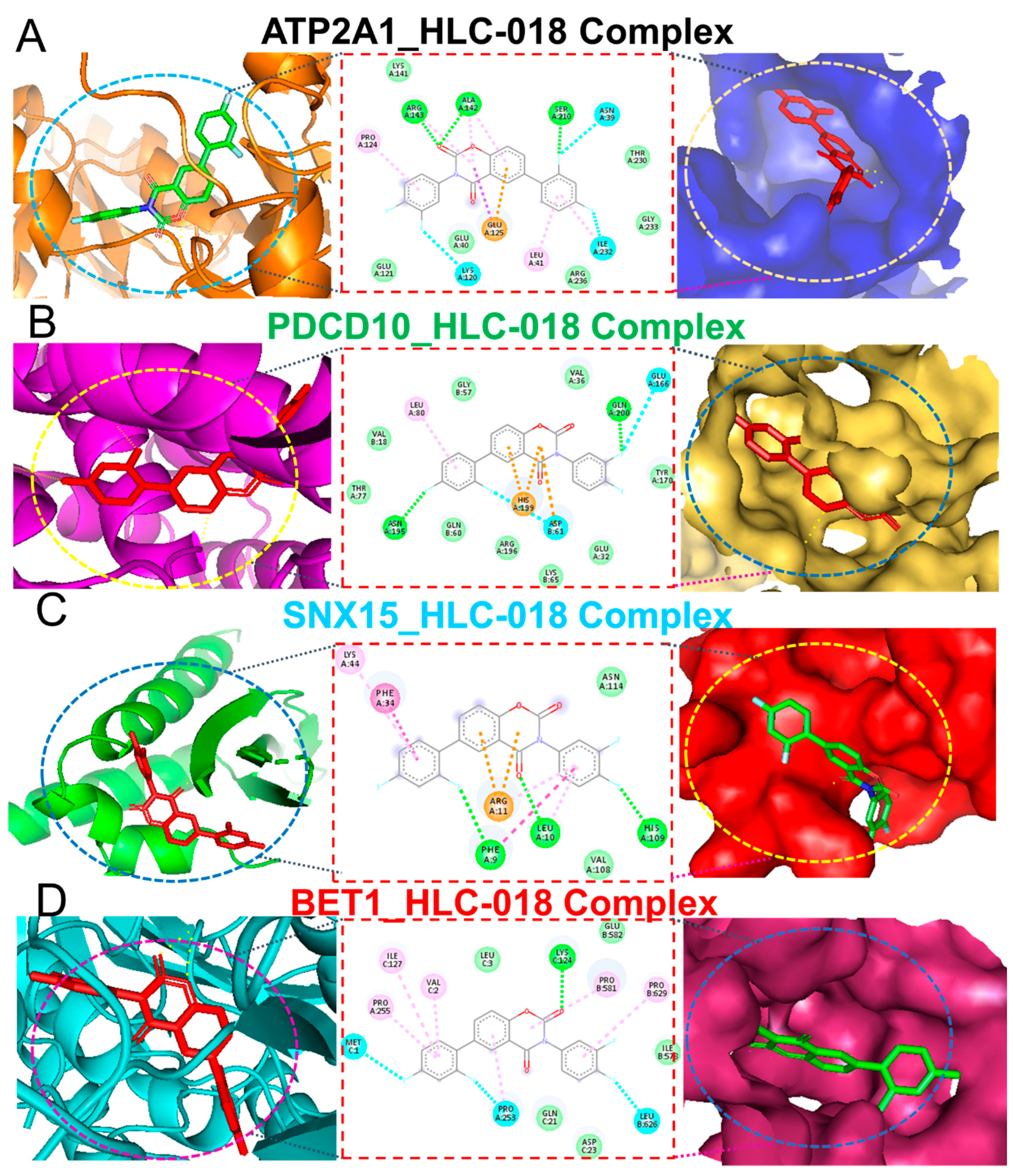 Cells 10 02873 g009 Cells 10 02873 g009