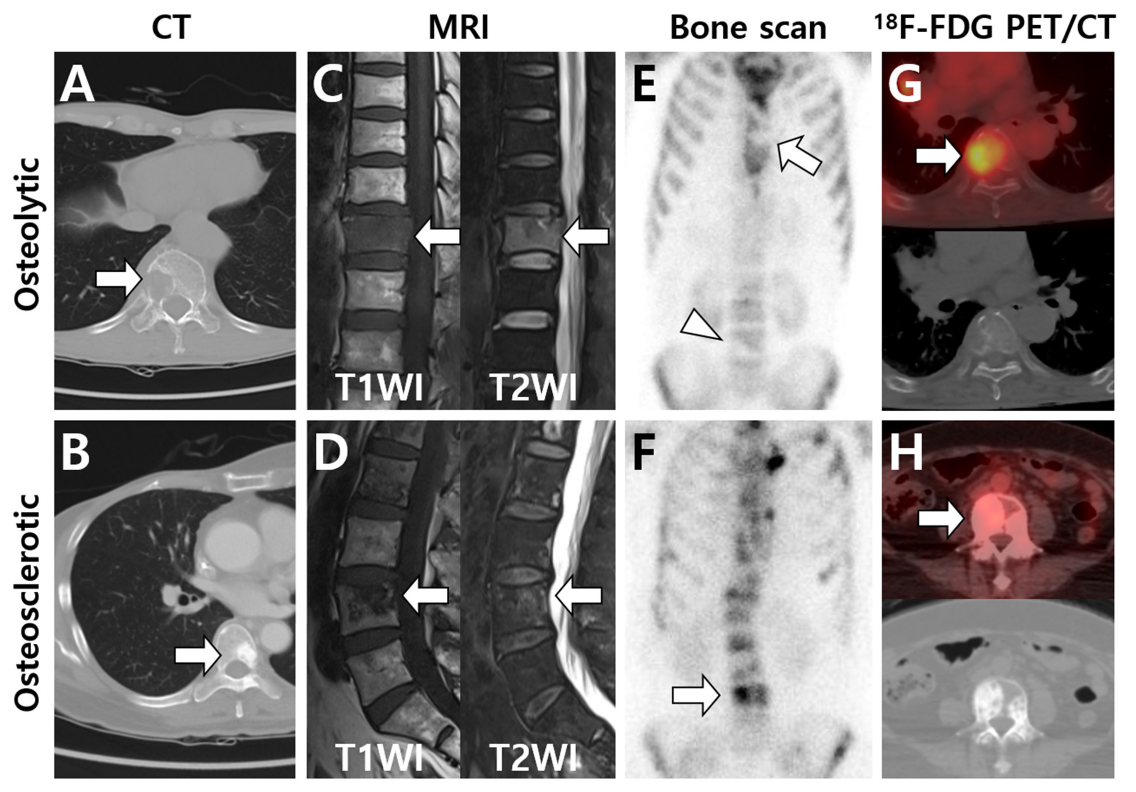 Cells 10 02877 g001 Cells 10 02877 g001