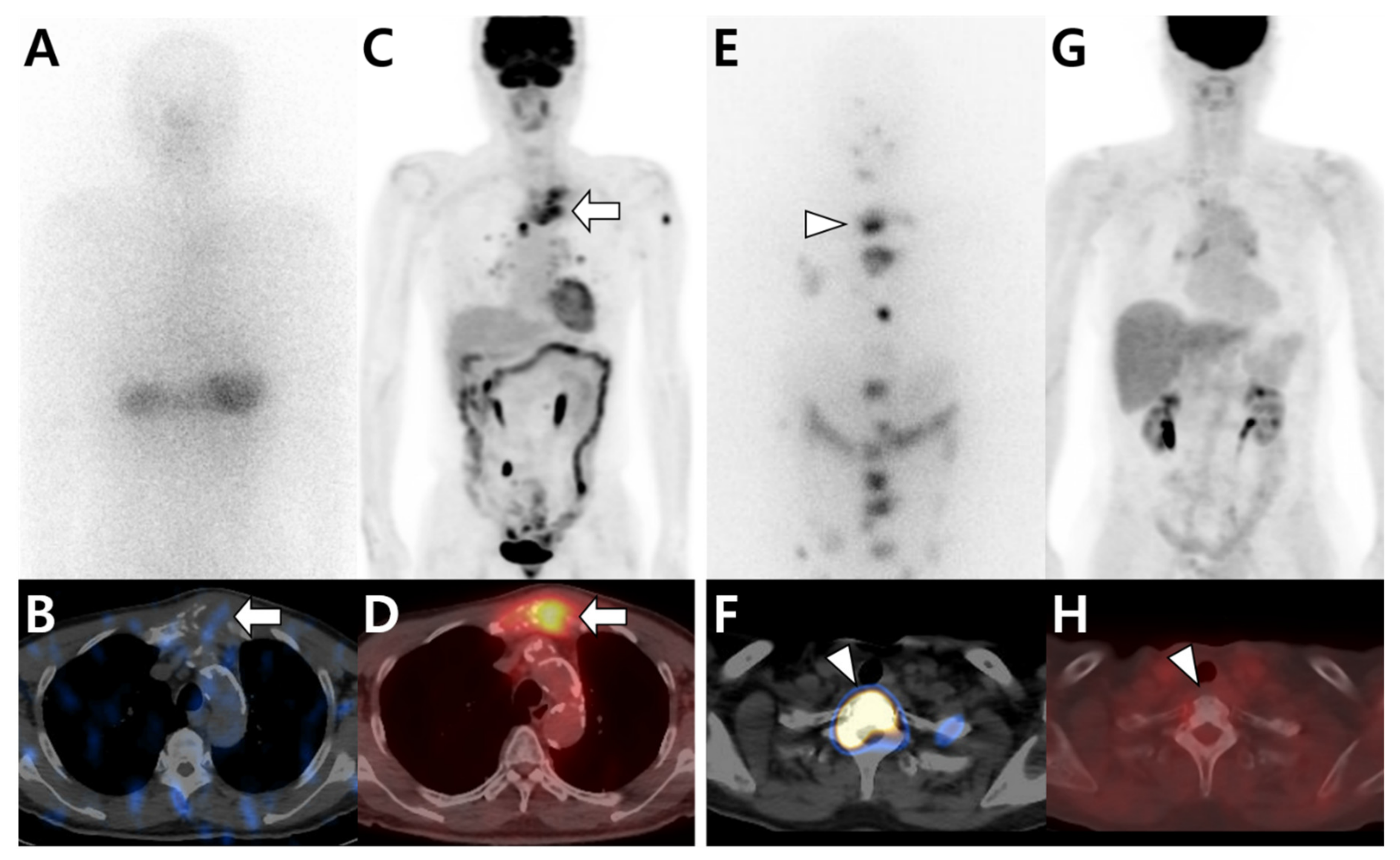Cells 10 02877 g003 Cells 10 02877 g003