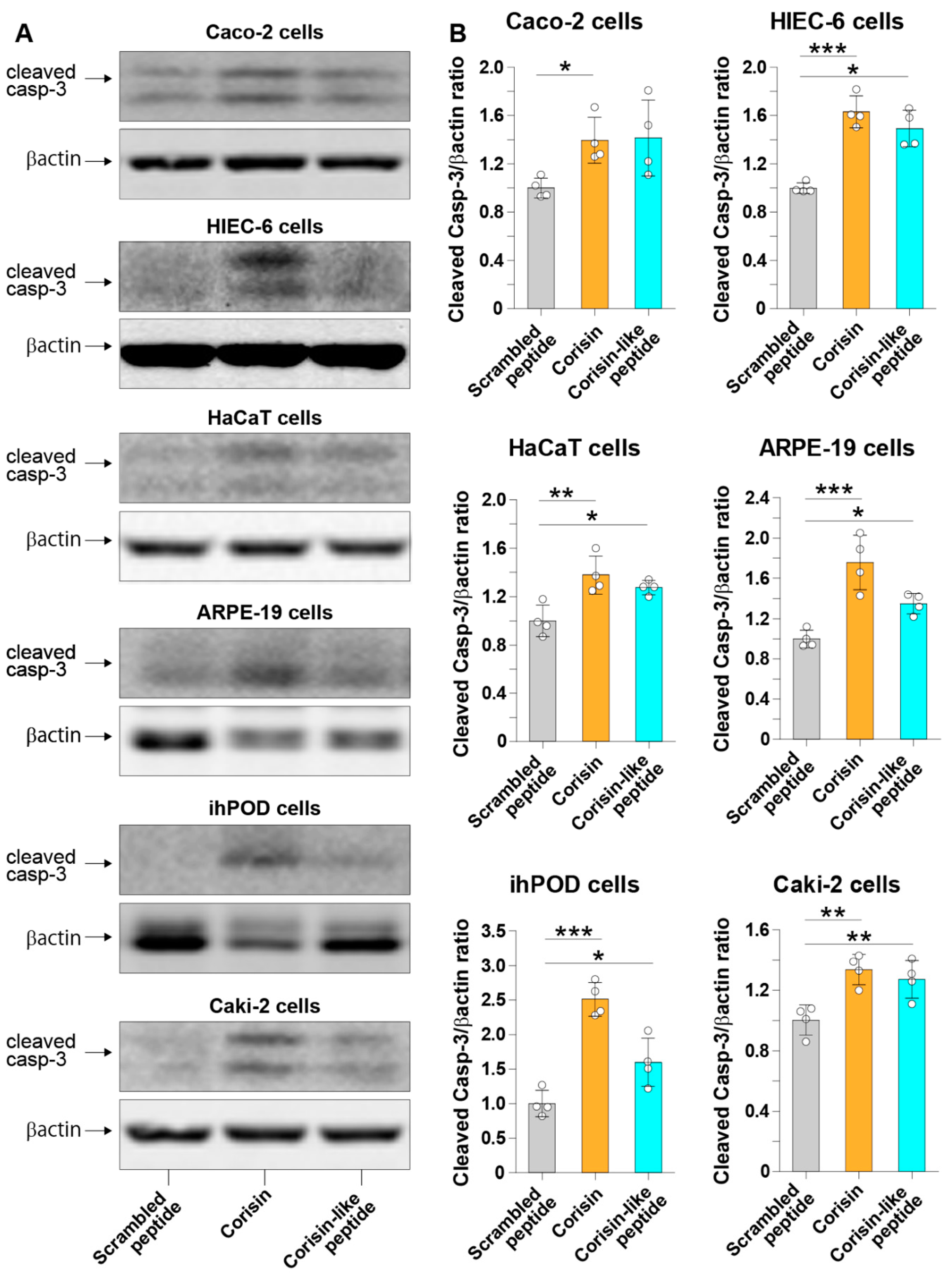 Cells 10 02885 g004 550