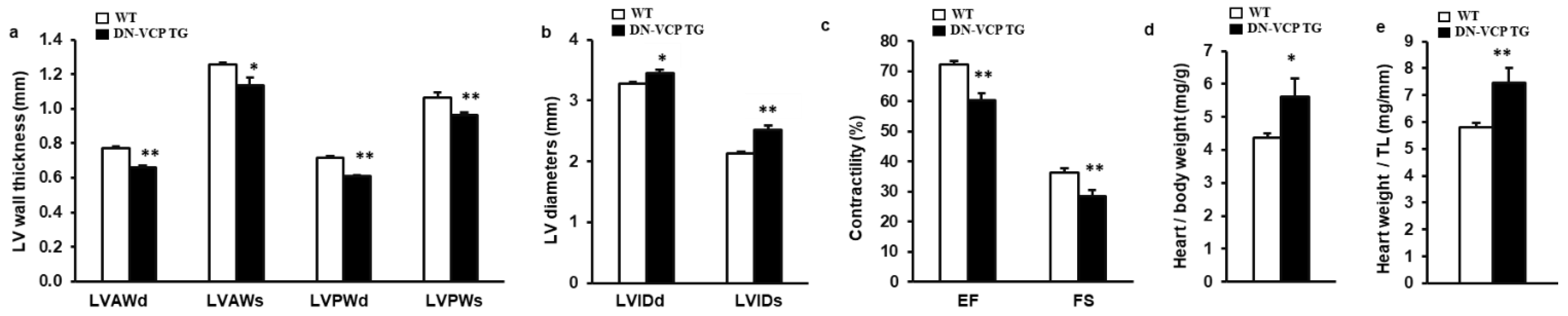 Cells 10 02891 g002 550