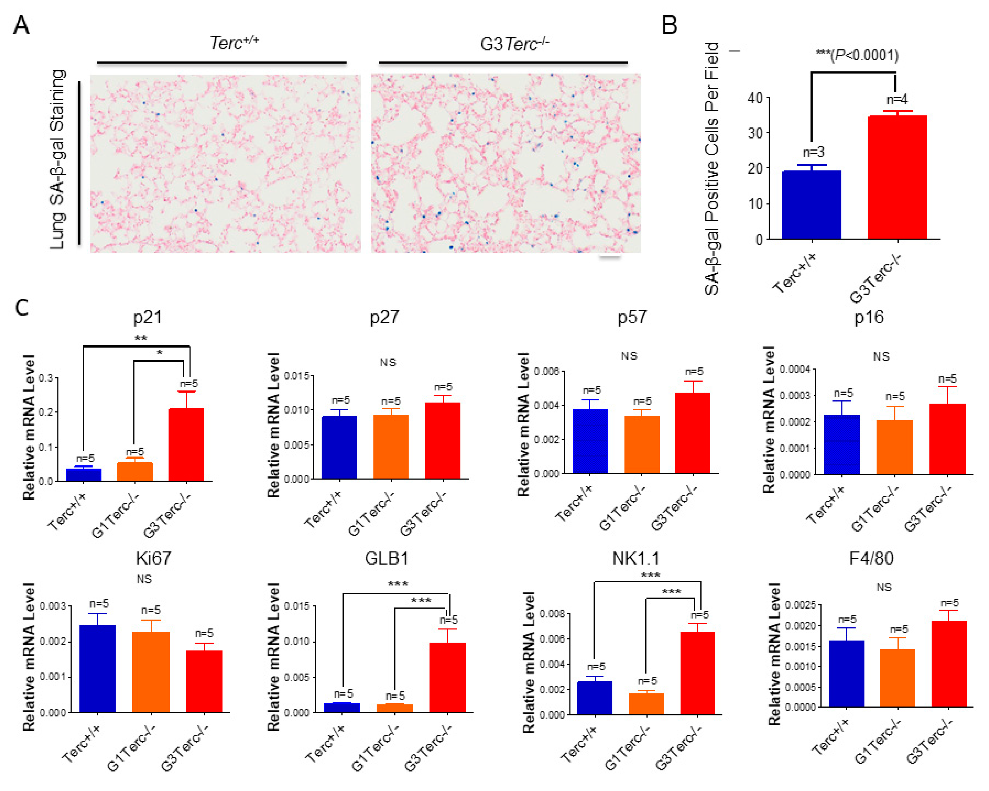 Cells 10 02892 g002a 550