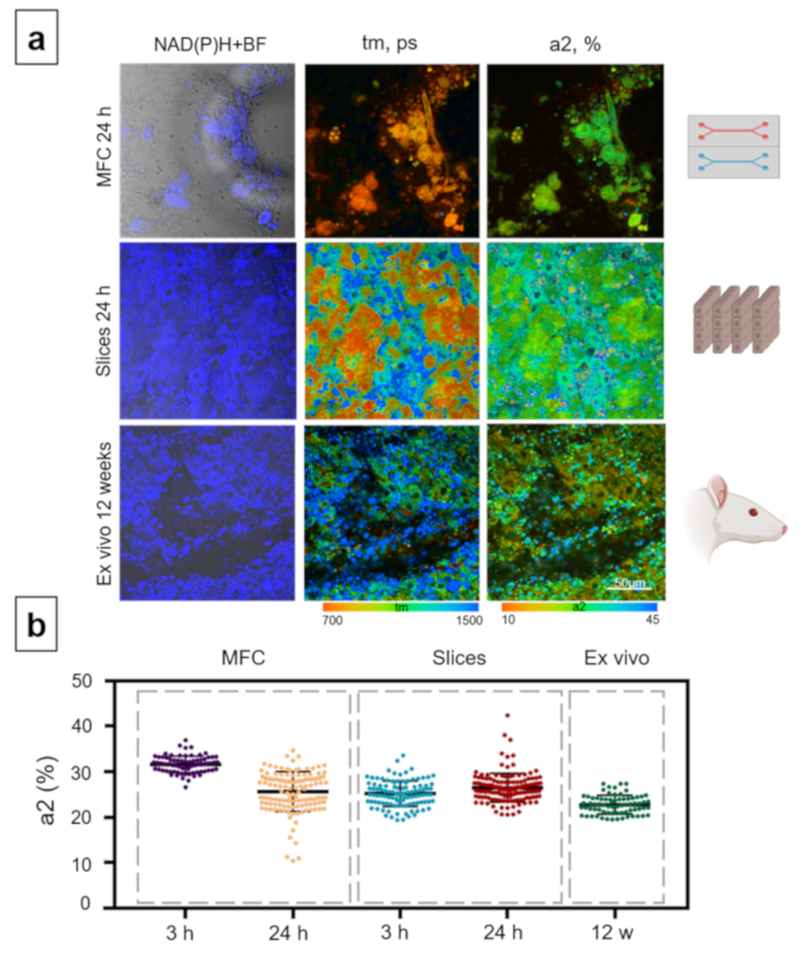 Cells 10 02894 g006 Cells 10 02894 g006