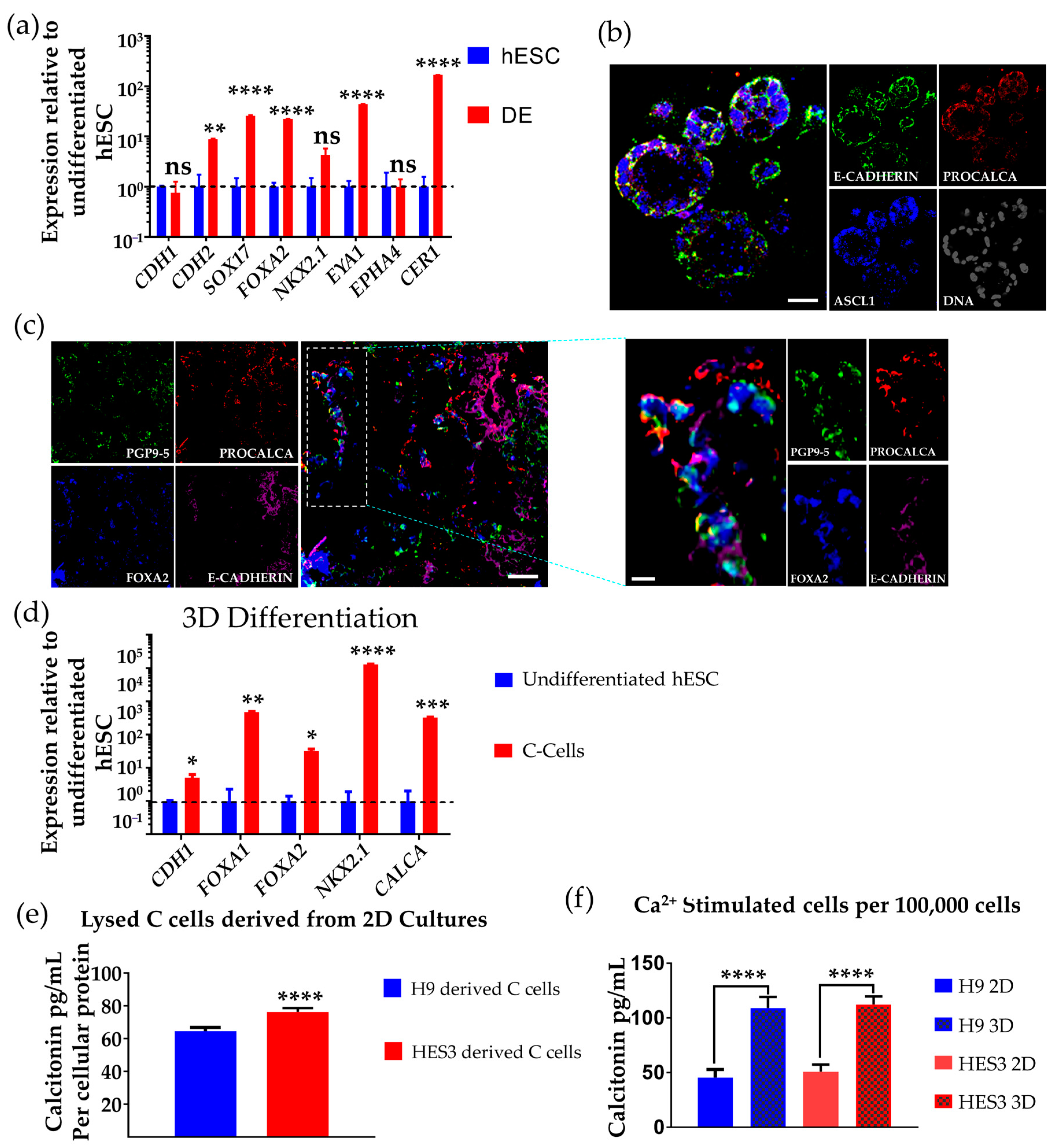Cells 10 02897 g004 Cells 10 02897 g004