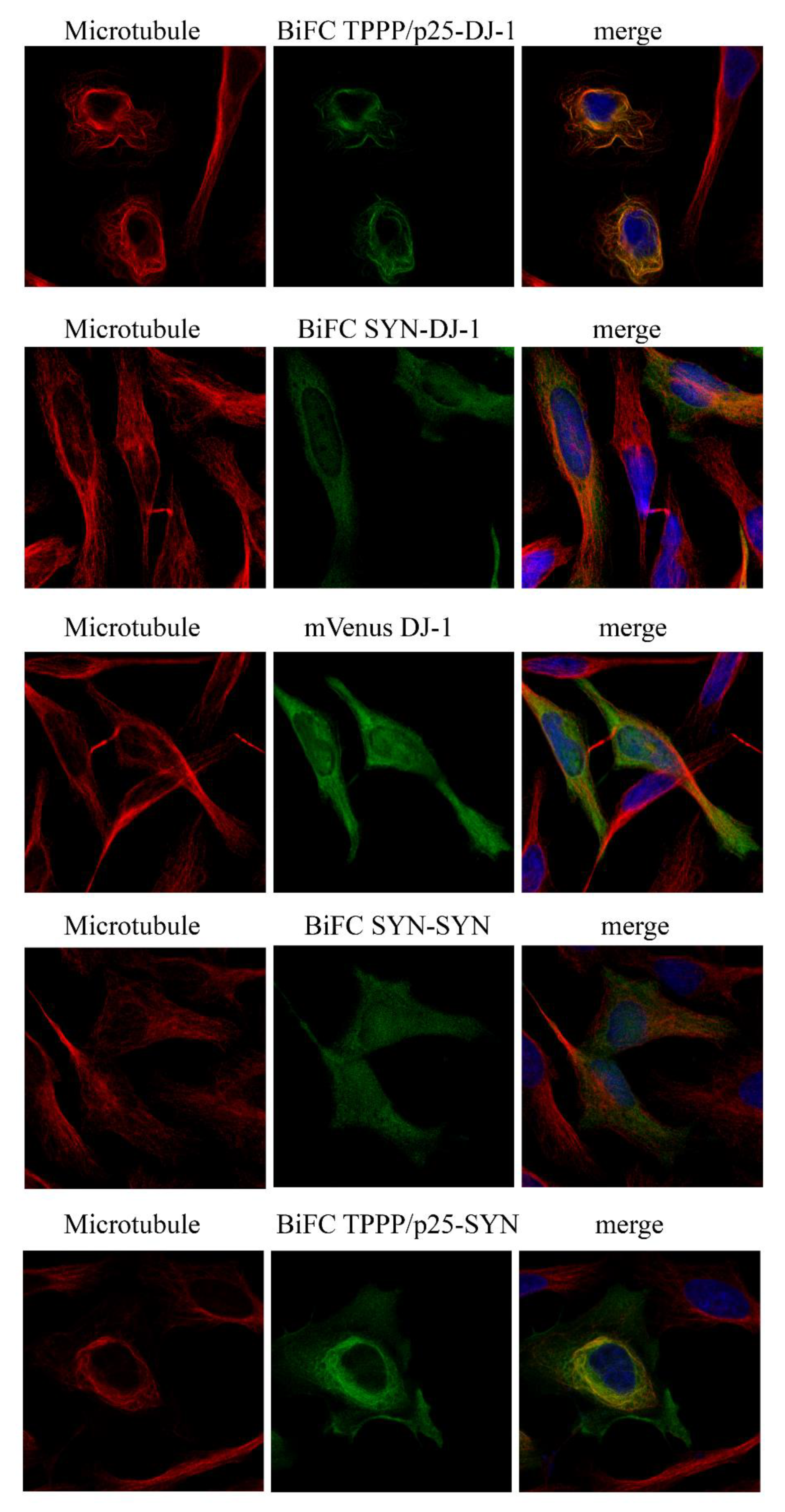 Cells 10 02909 g002