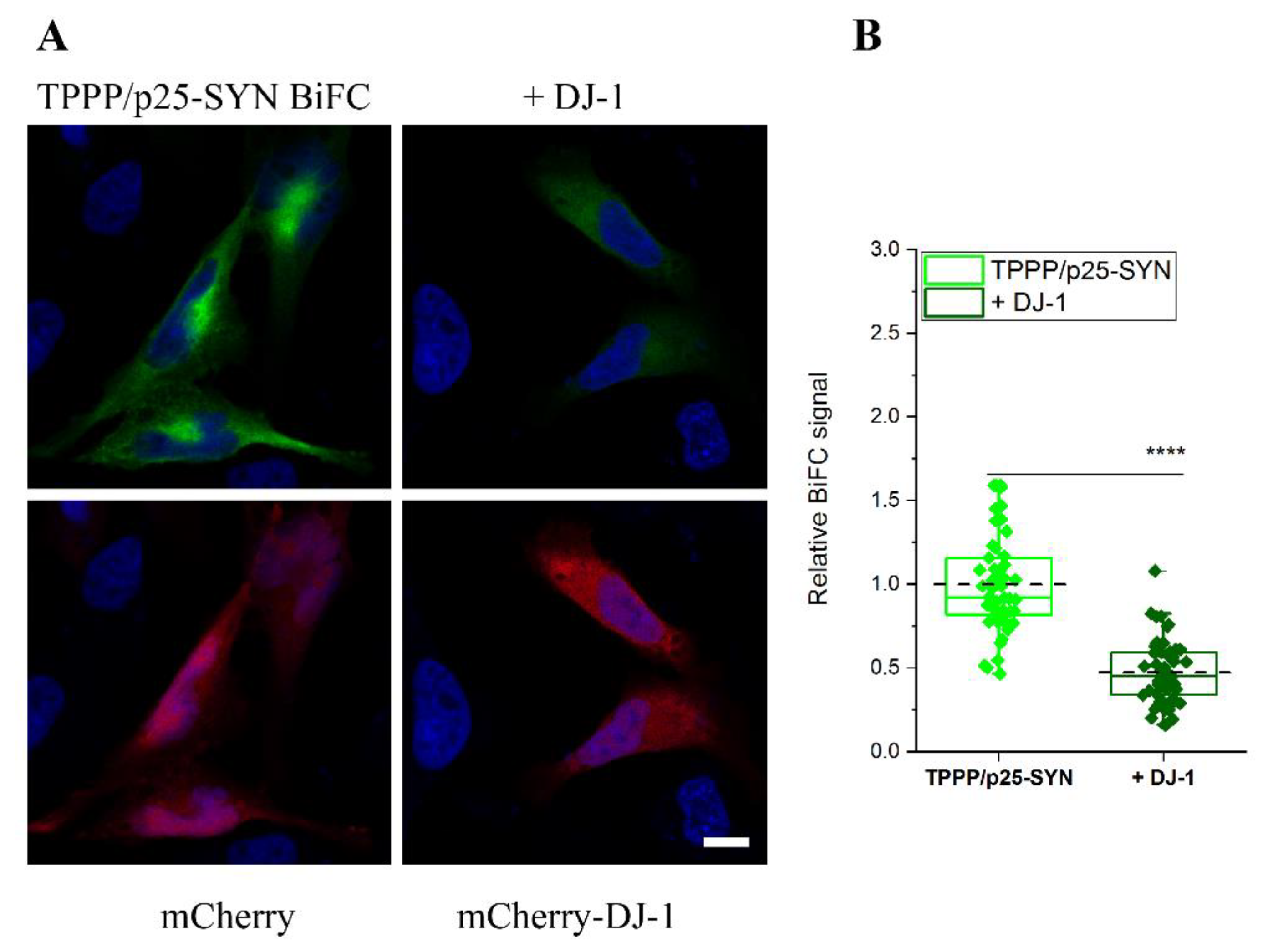 Cells 10 02909 g003