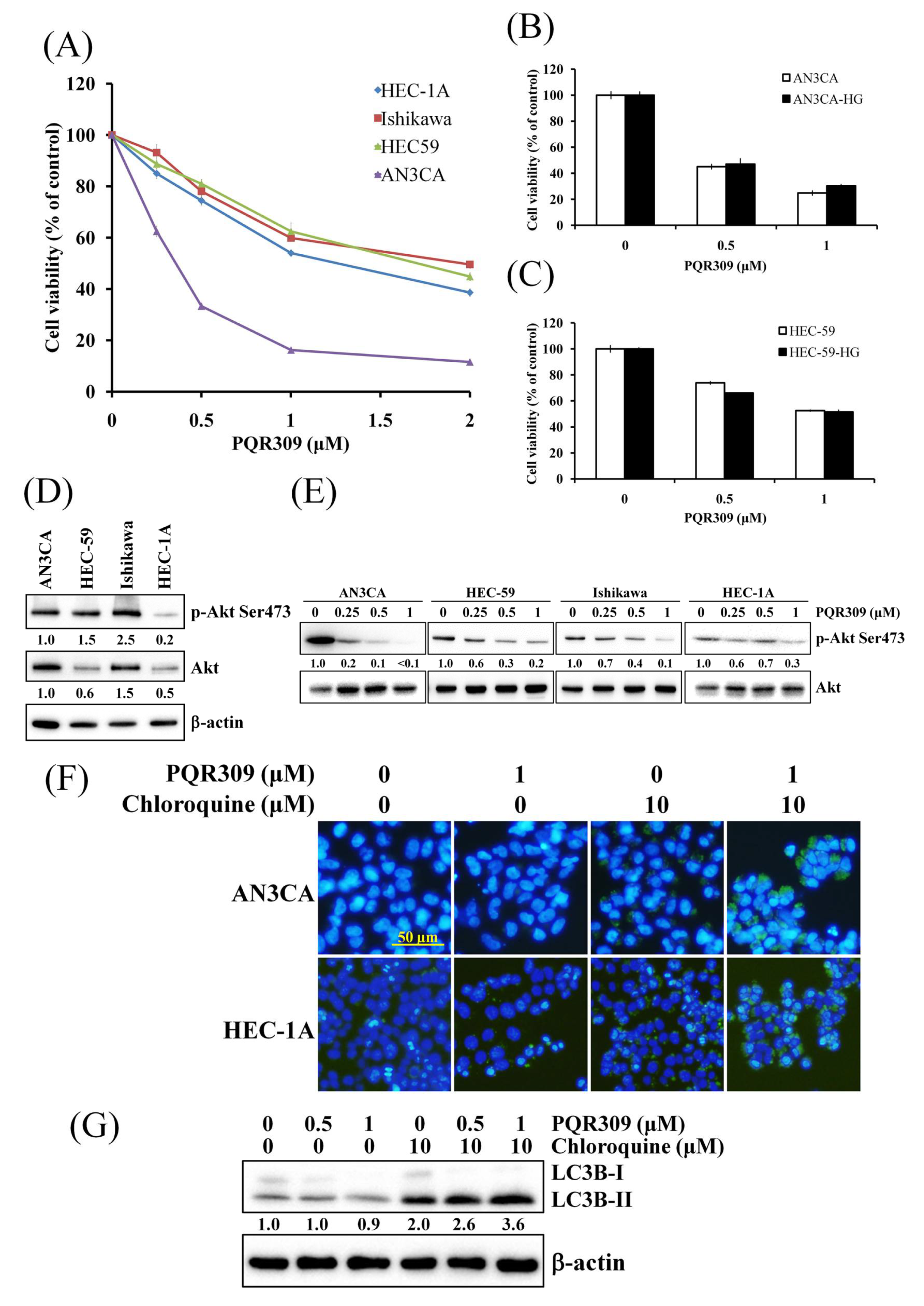 Cells 10 02916 g001 Cells 10 02916 g001
