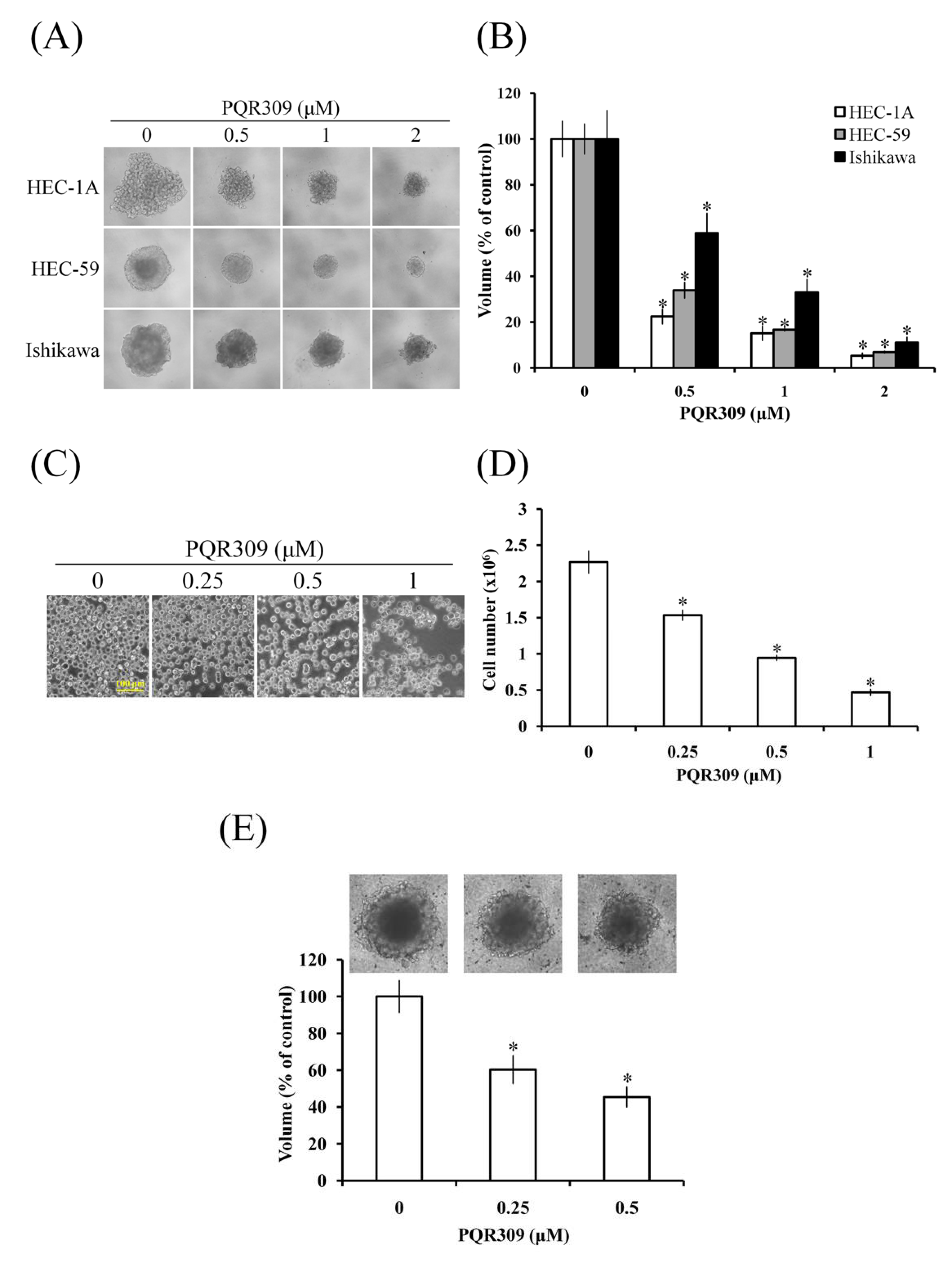Cells 10 02916 g002 Cells 10 02916 g002
