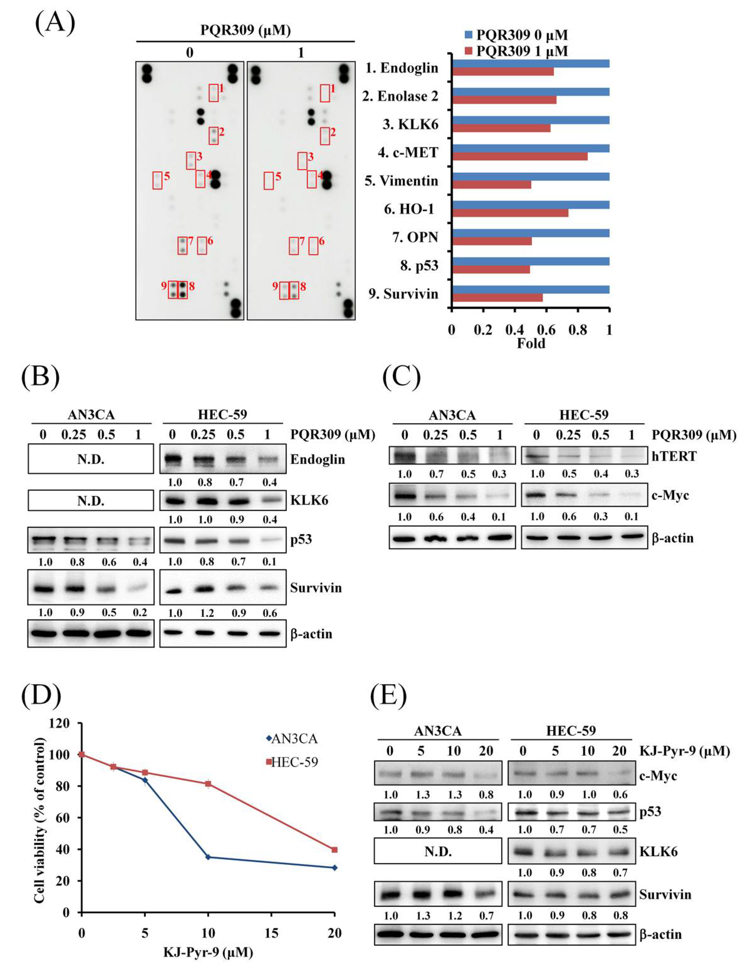 Cells 10 02916 g005 Cells 10 02916 g005