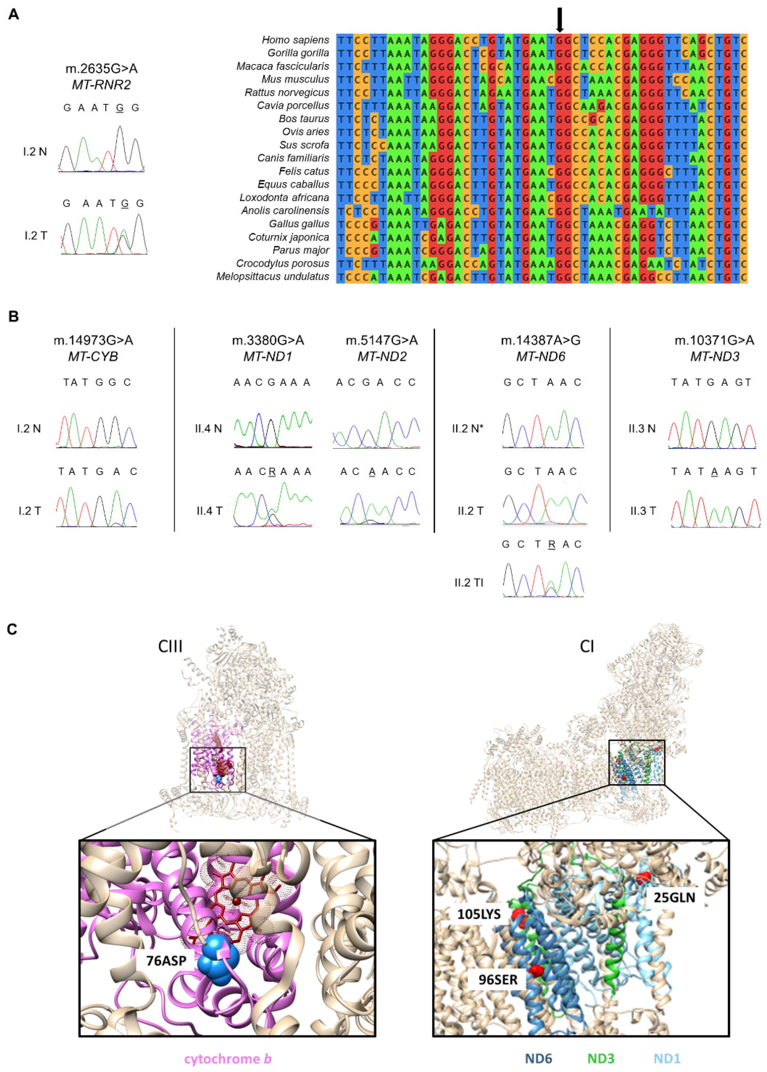 Cells 10 02920 g002 Cells 10 02920 g002
