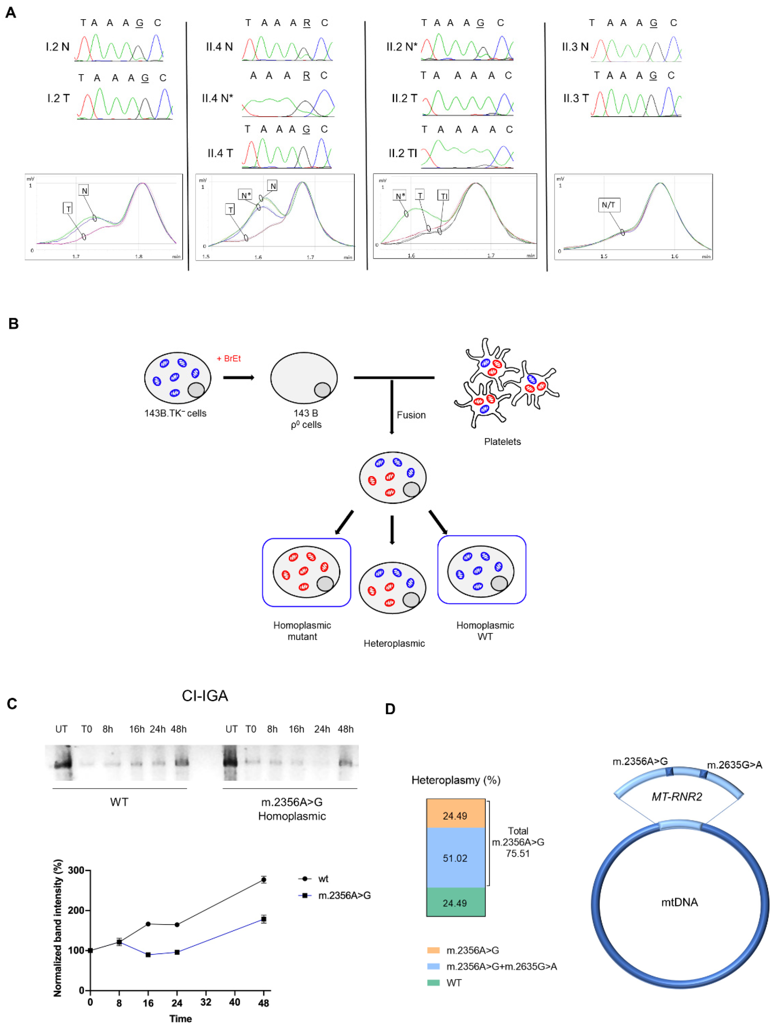 Cells 10 02920 g003 Cells 10 02920 g003
