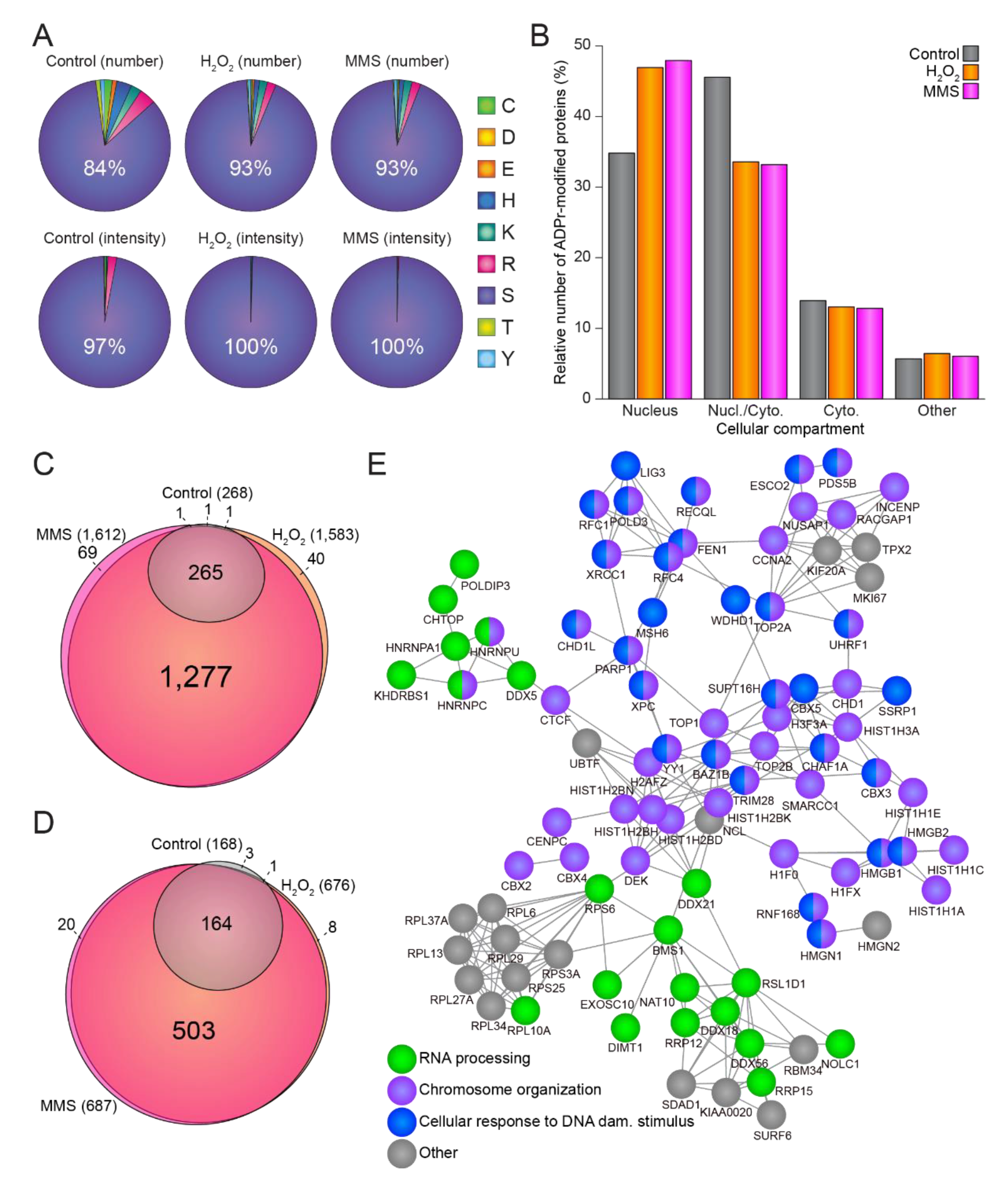 Cells 10 02927 g002 550