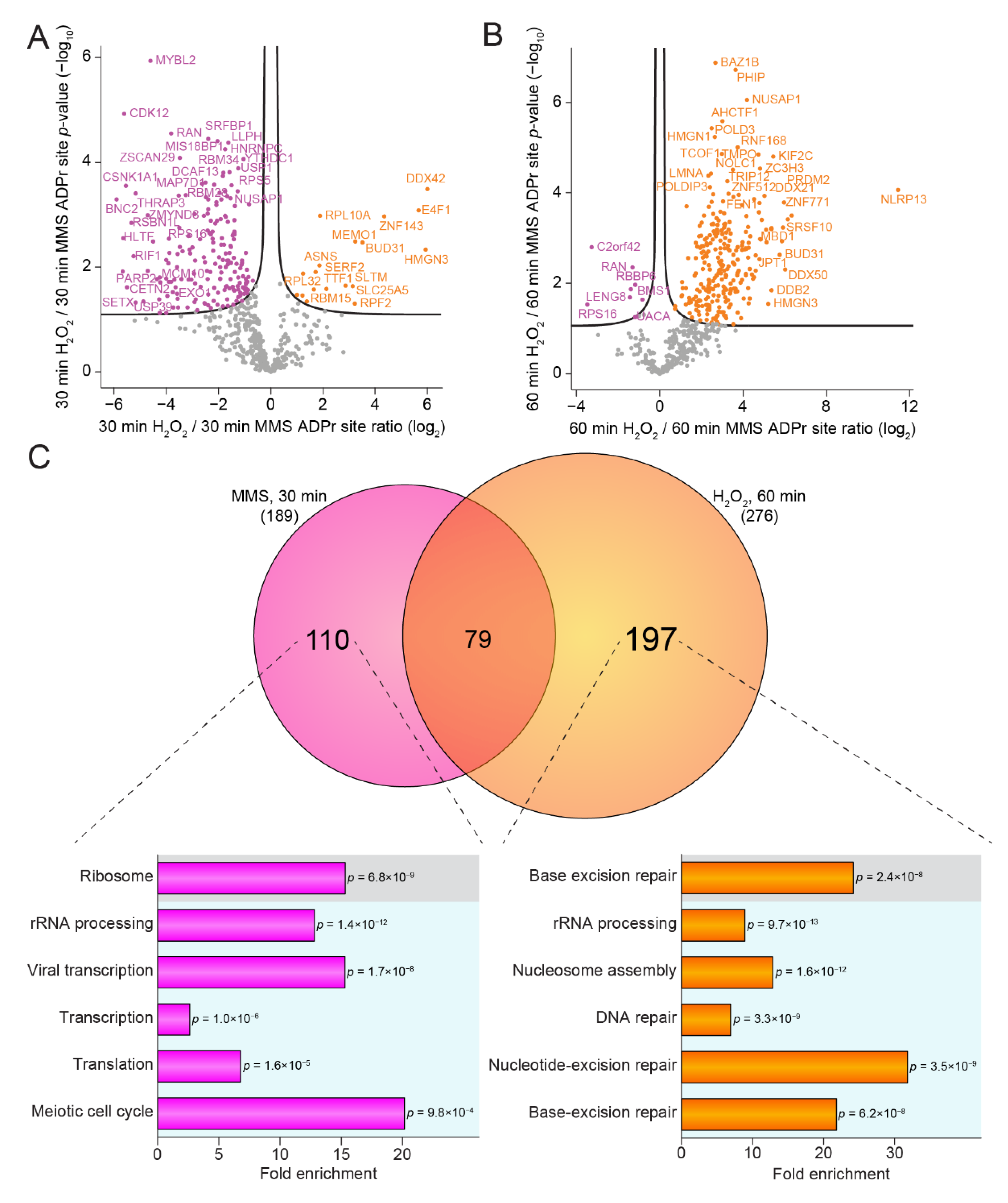 Cells 10 02927 g004 550