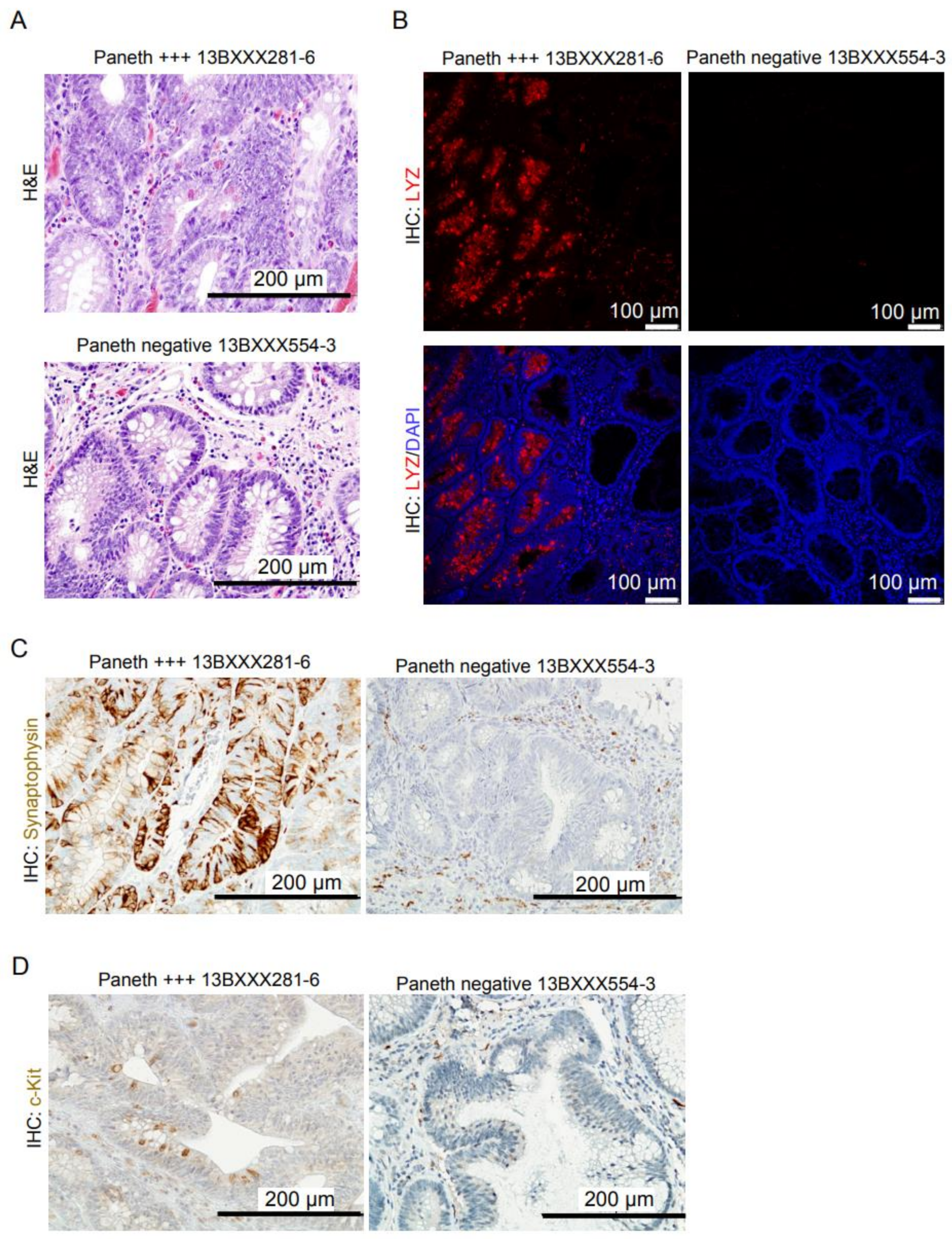 Cells 10 02928 g001 550