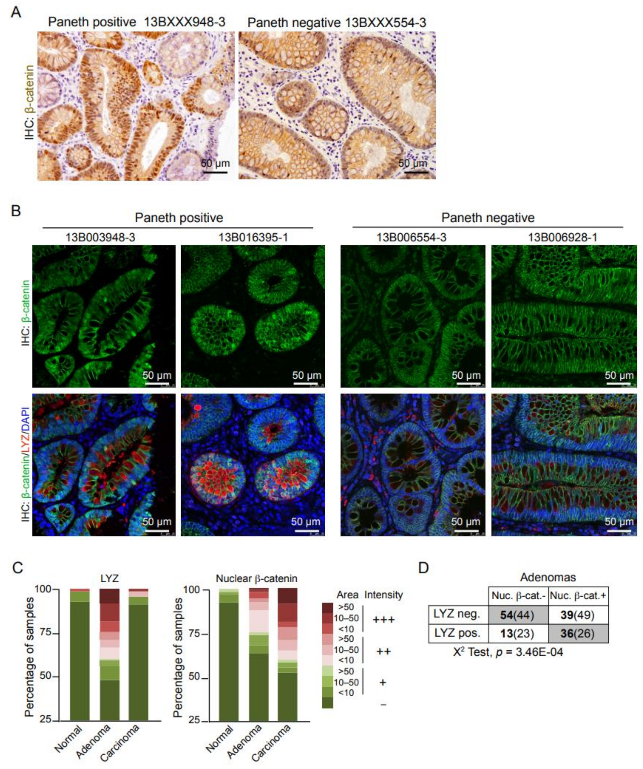 Cells 10 02928 g002 550