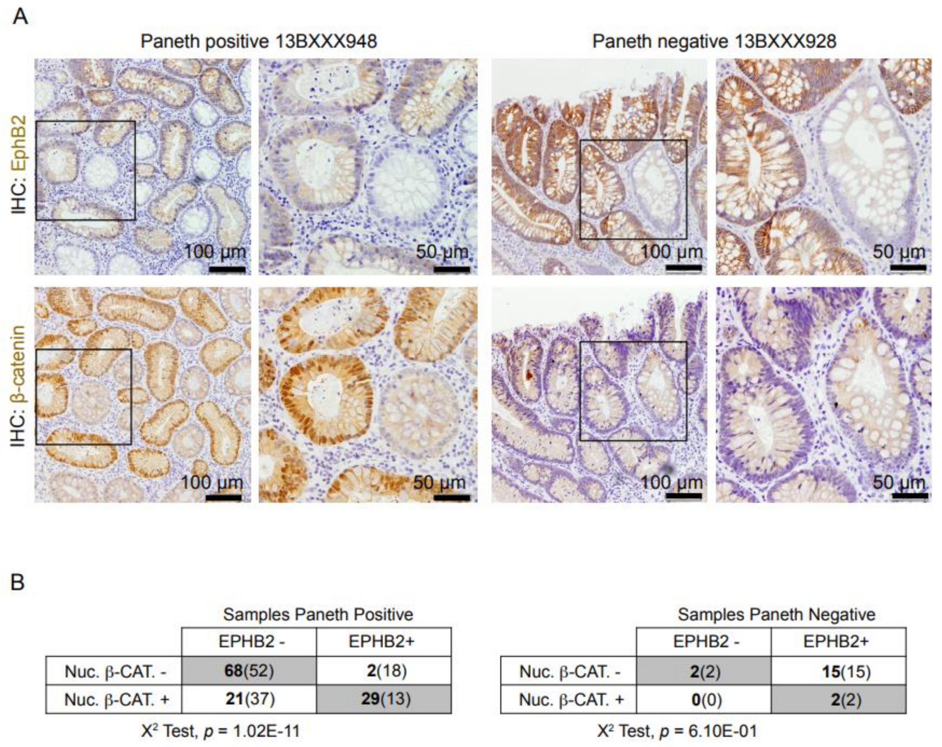 Cells 10 02928 g004 550