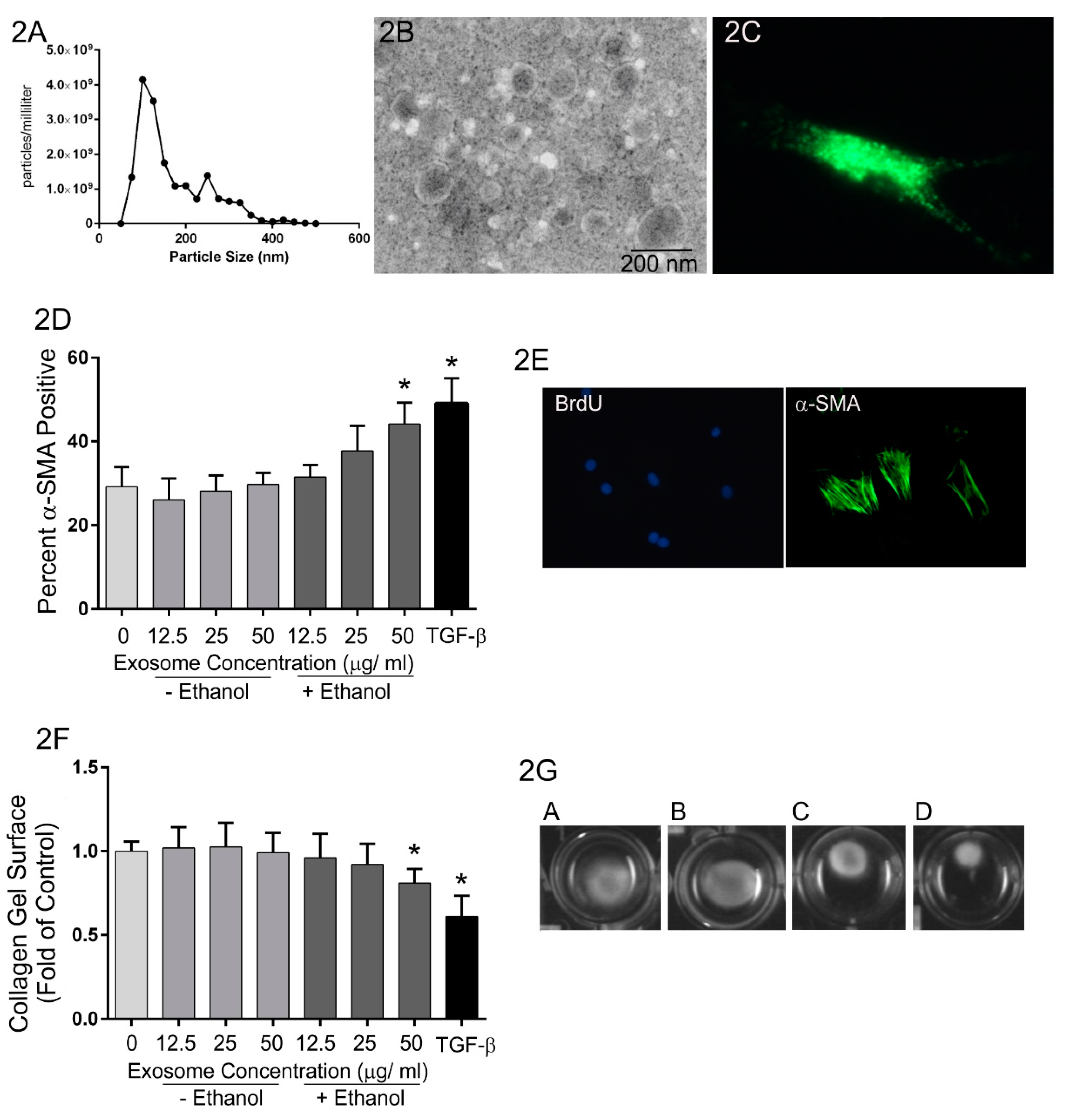 Cells 10 02933 g002 550