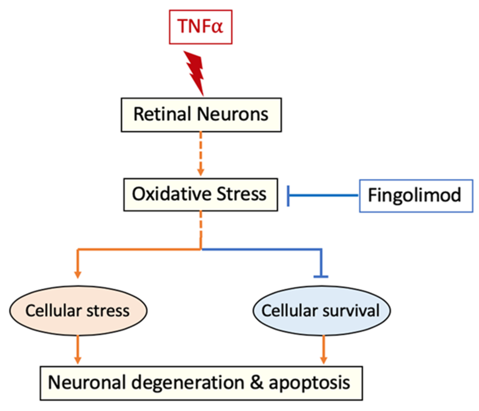 Cells 10 02938 g008 Cells 10 02938 g008