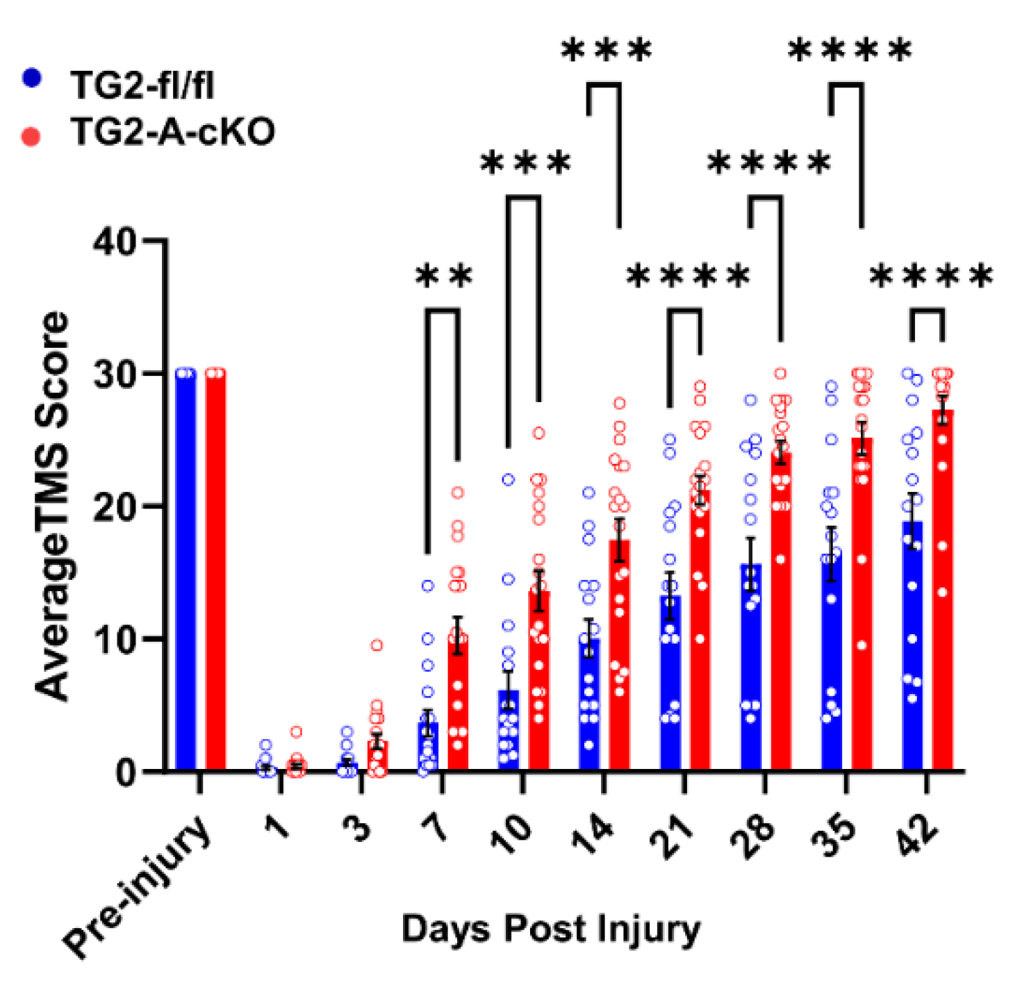 Cells 10 02942 g001 Cells 10 02942 g001