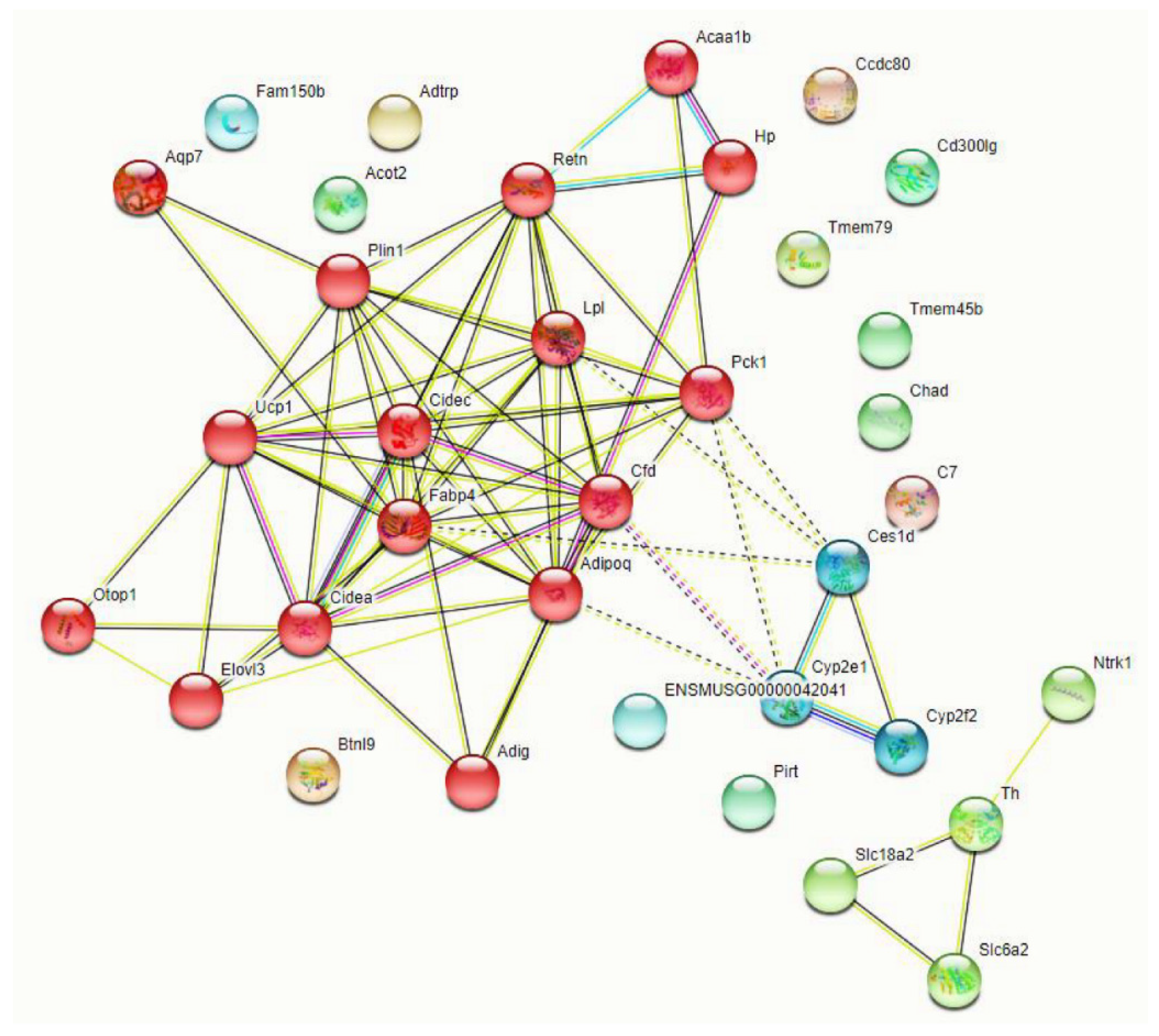 Cells 10 02942 g007 Cells 10 02942 g007