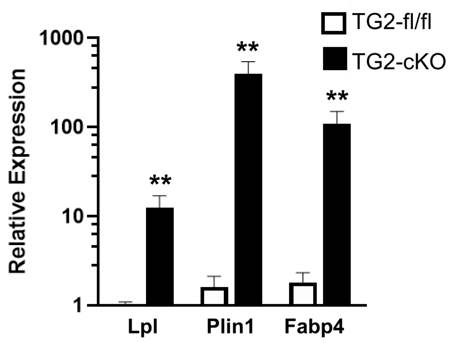 Cells 10 02942 g008 Cells 10 02942 g008