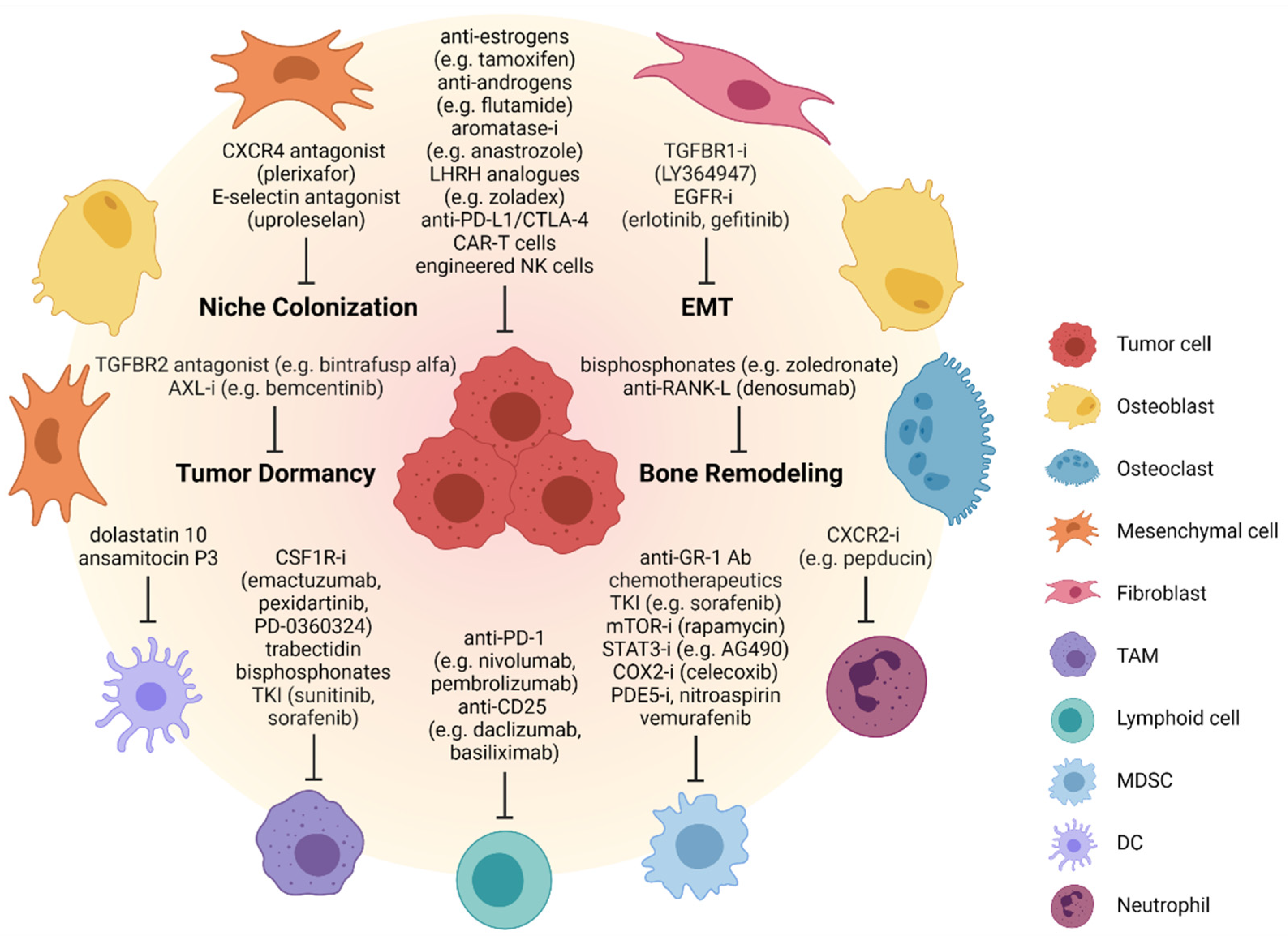 Cells 10 02944 g002 Cells 10 02944 g002