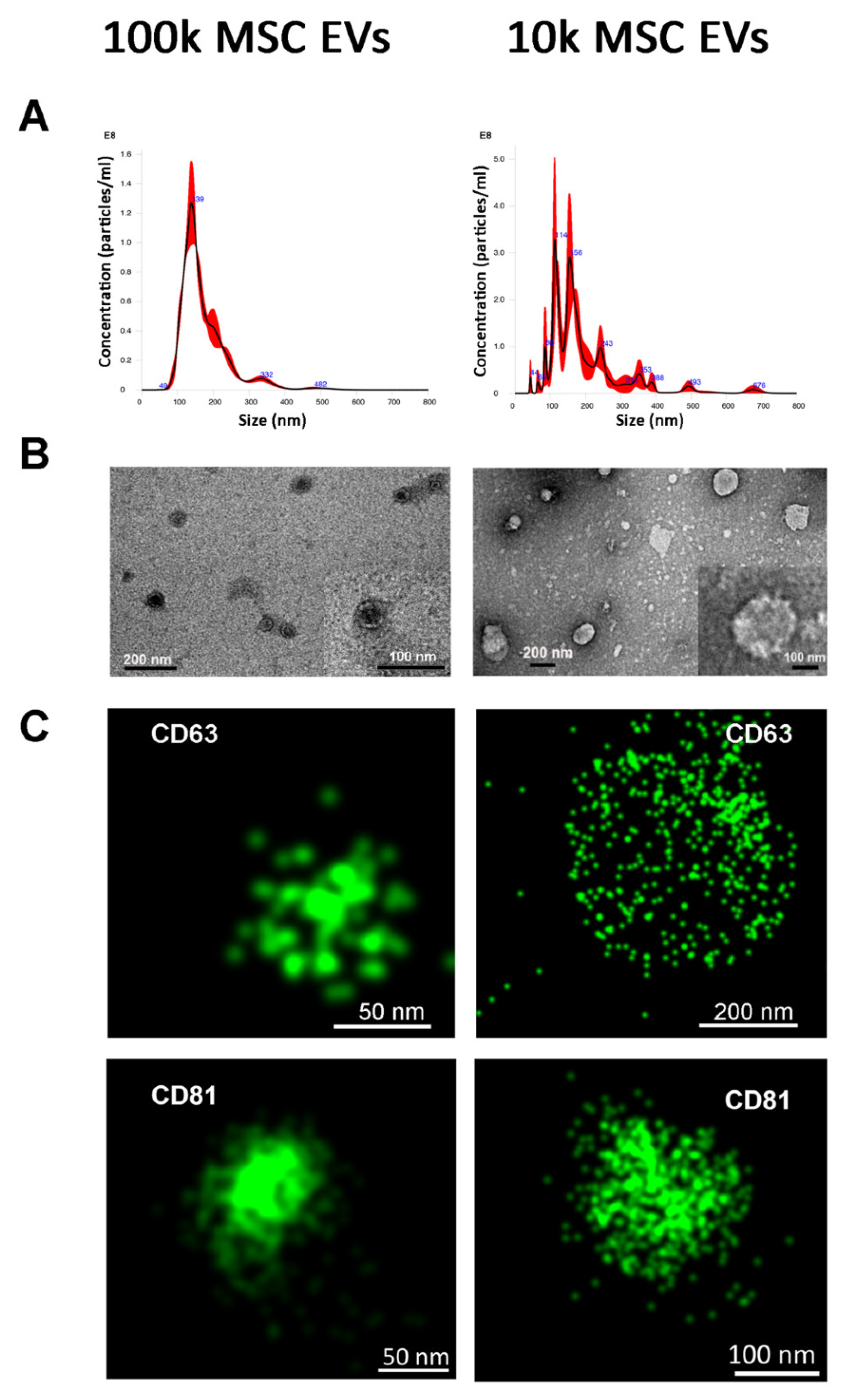 Cells 10 02948 g002 550