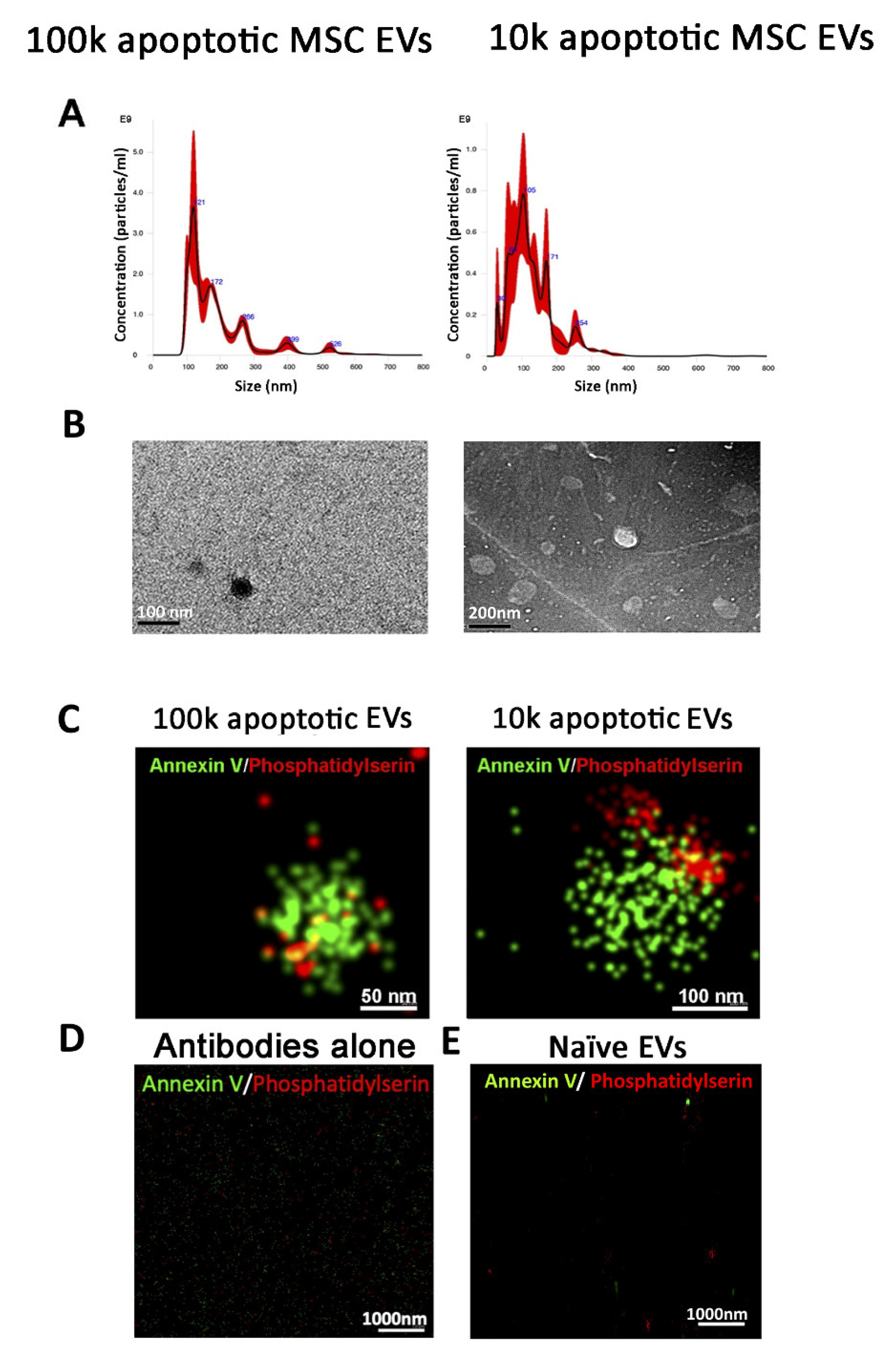 Cells 10 02948 g005 550