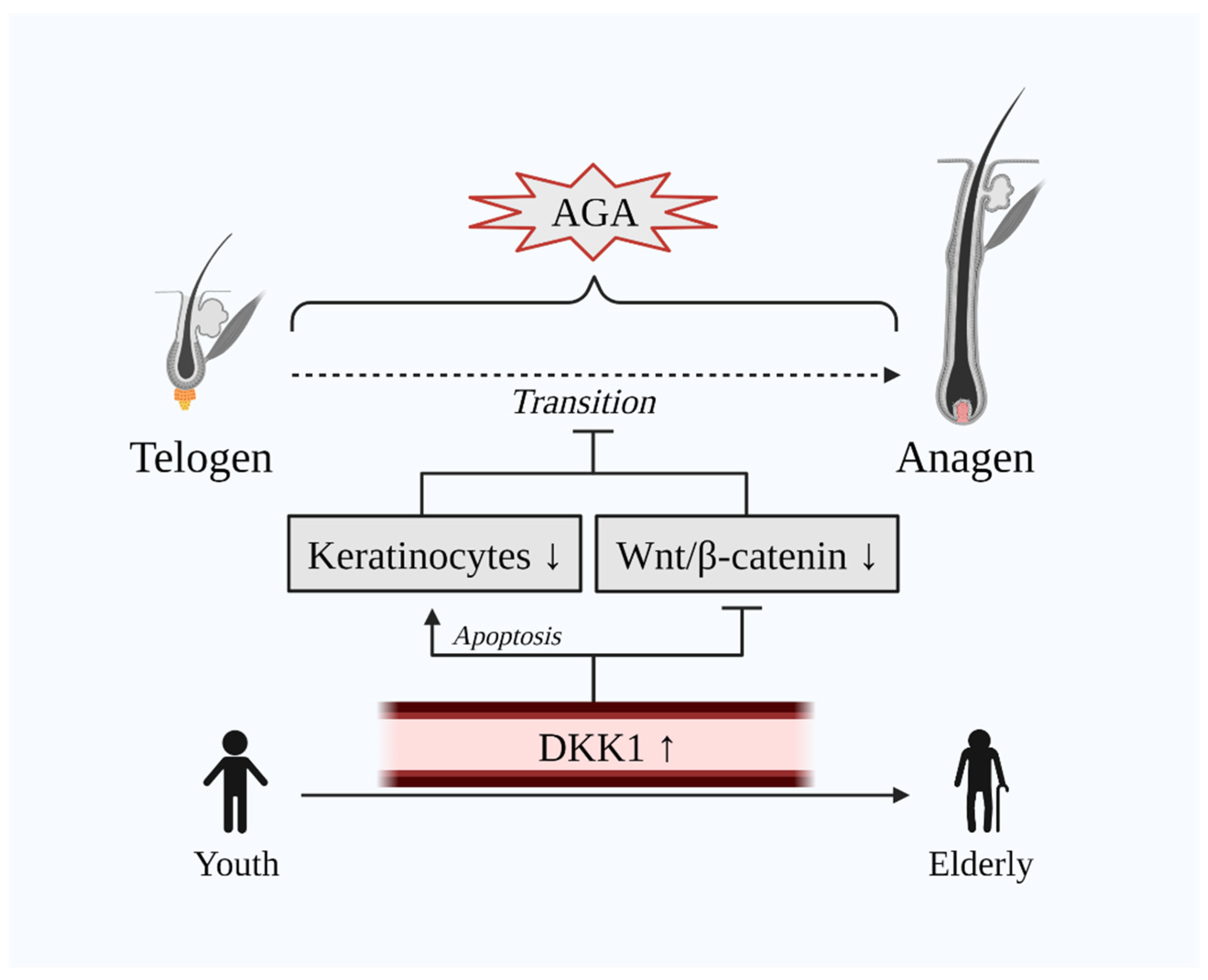 Cells 10 02957 g002 Cells 10 02957 g002