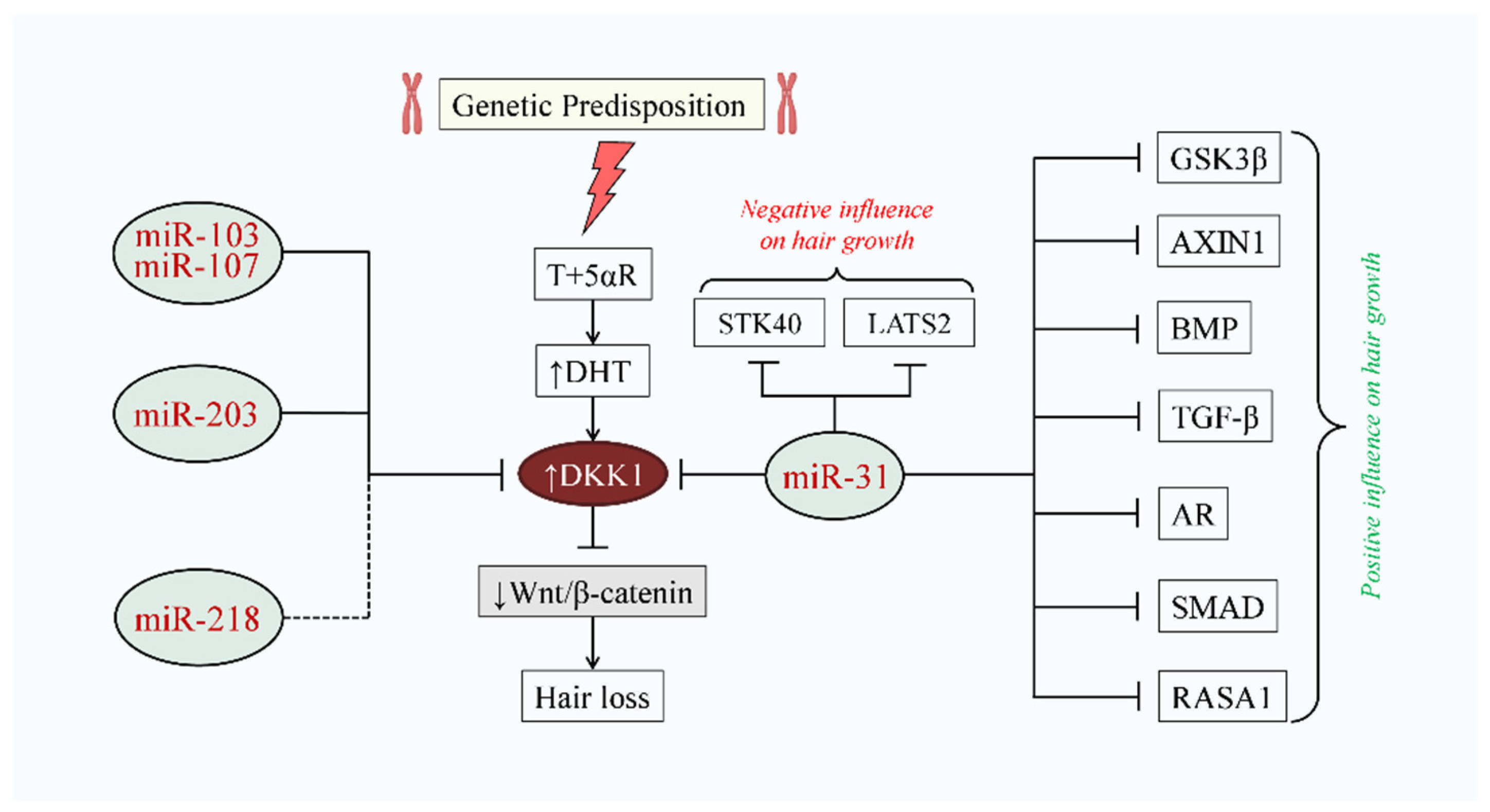 Cells 10 02957 g005 Cells 10 02957 g005