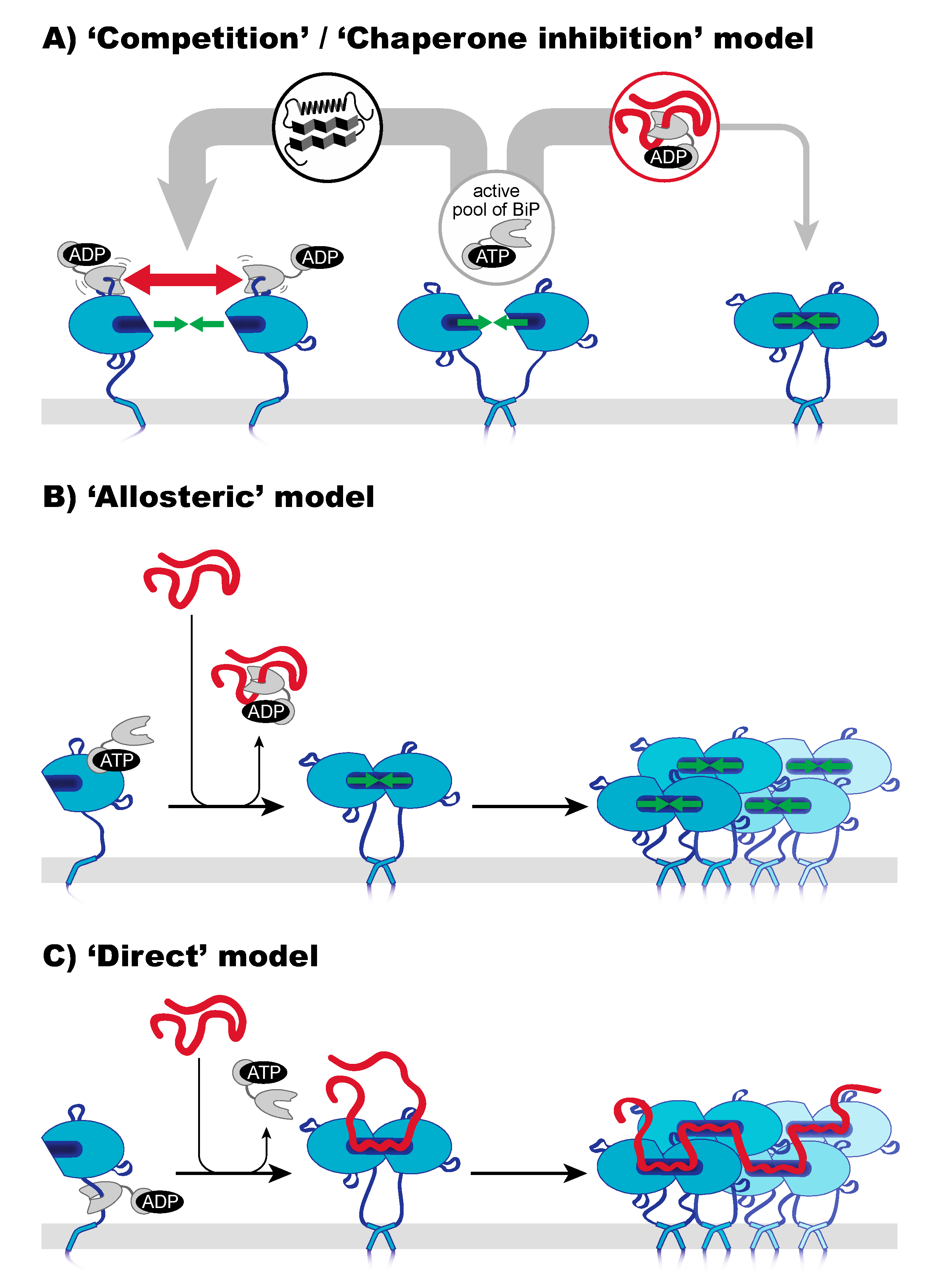 Cells 10 02965 g002 550