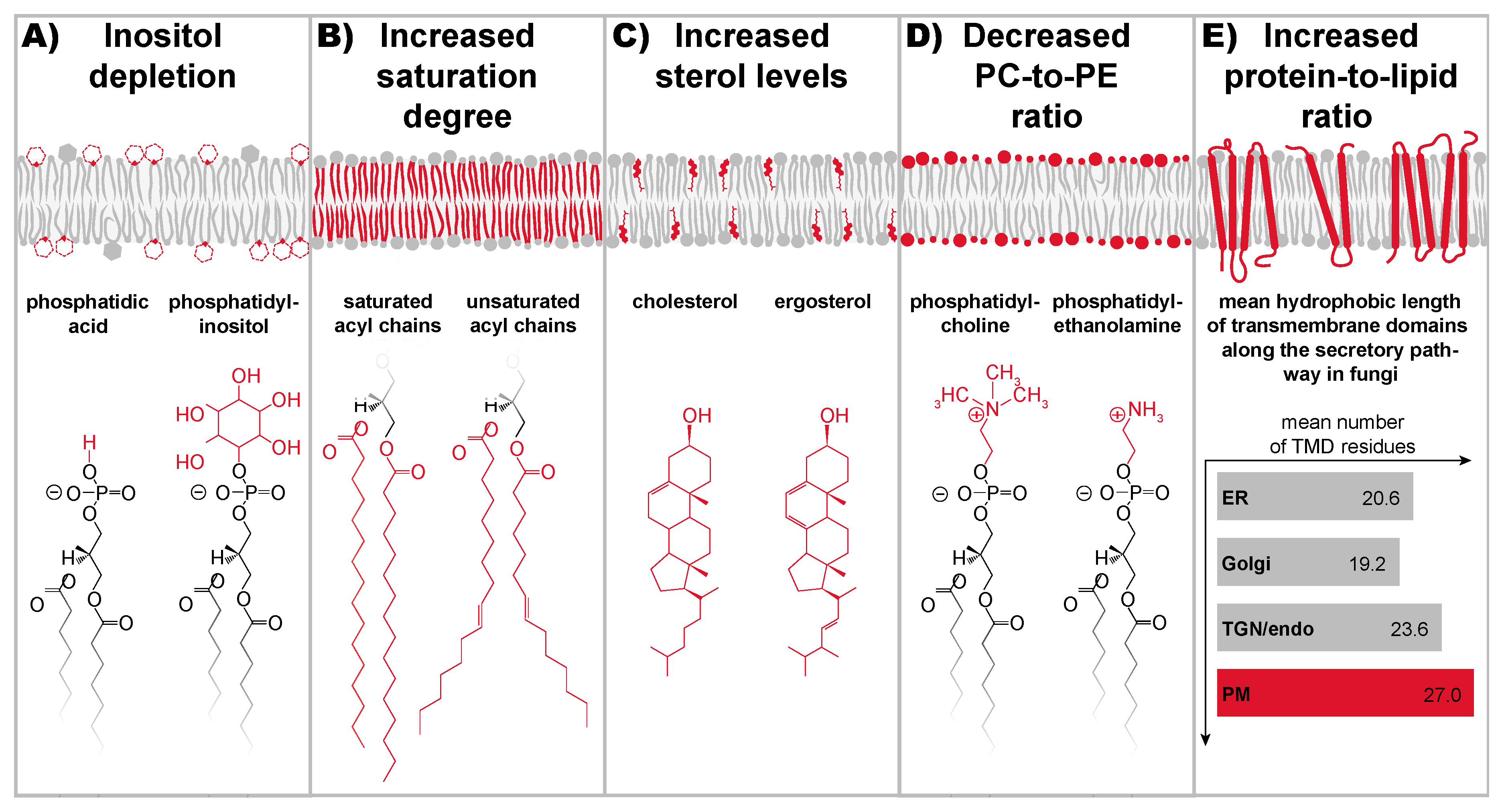 Cells 10 02965 g003 550