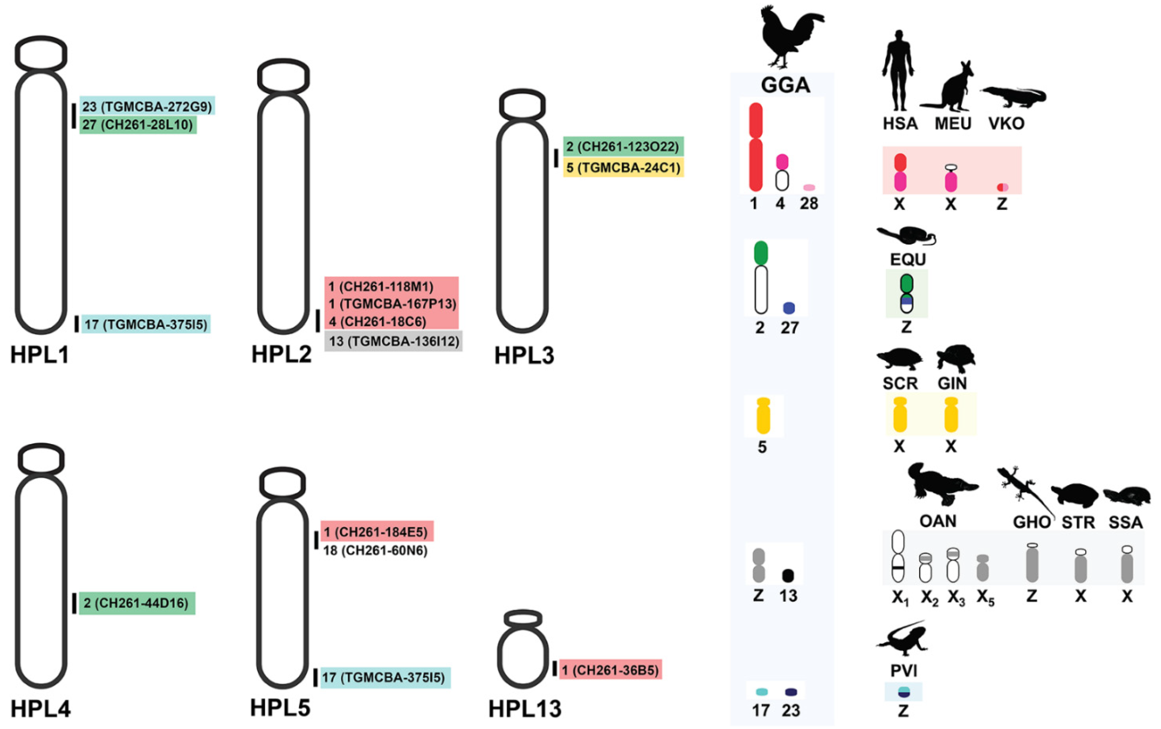Cells 10 02969 g004 Cells 10 02969 g004