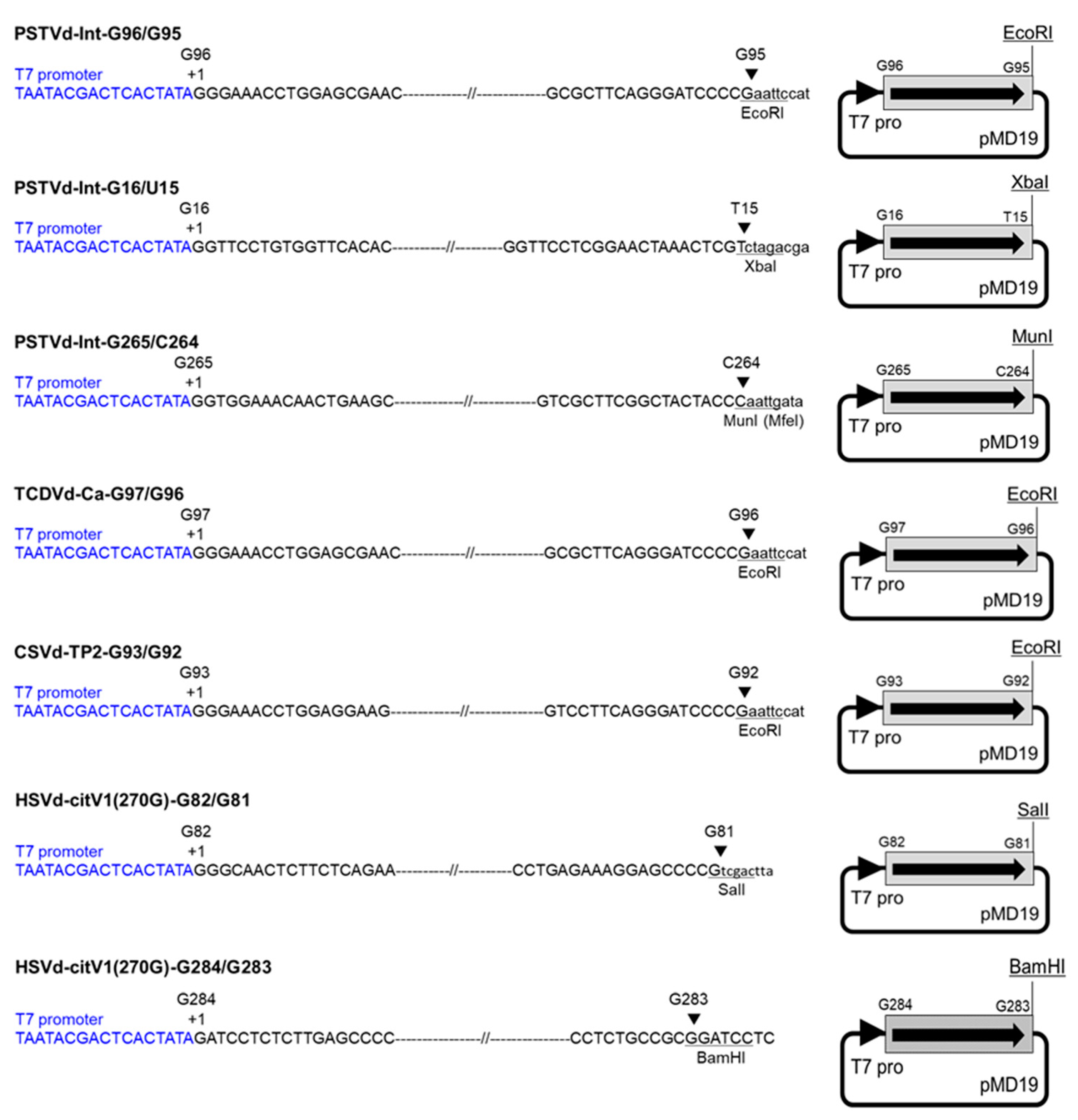 Cells 10 02971 g001 Cells 10 02971 g001