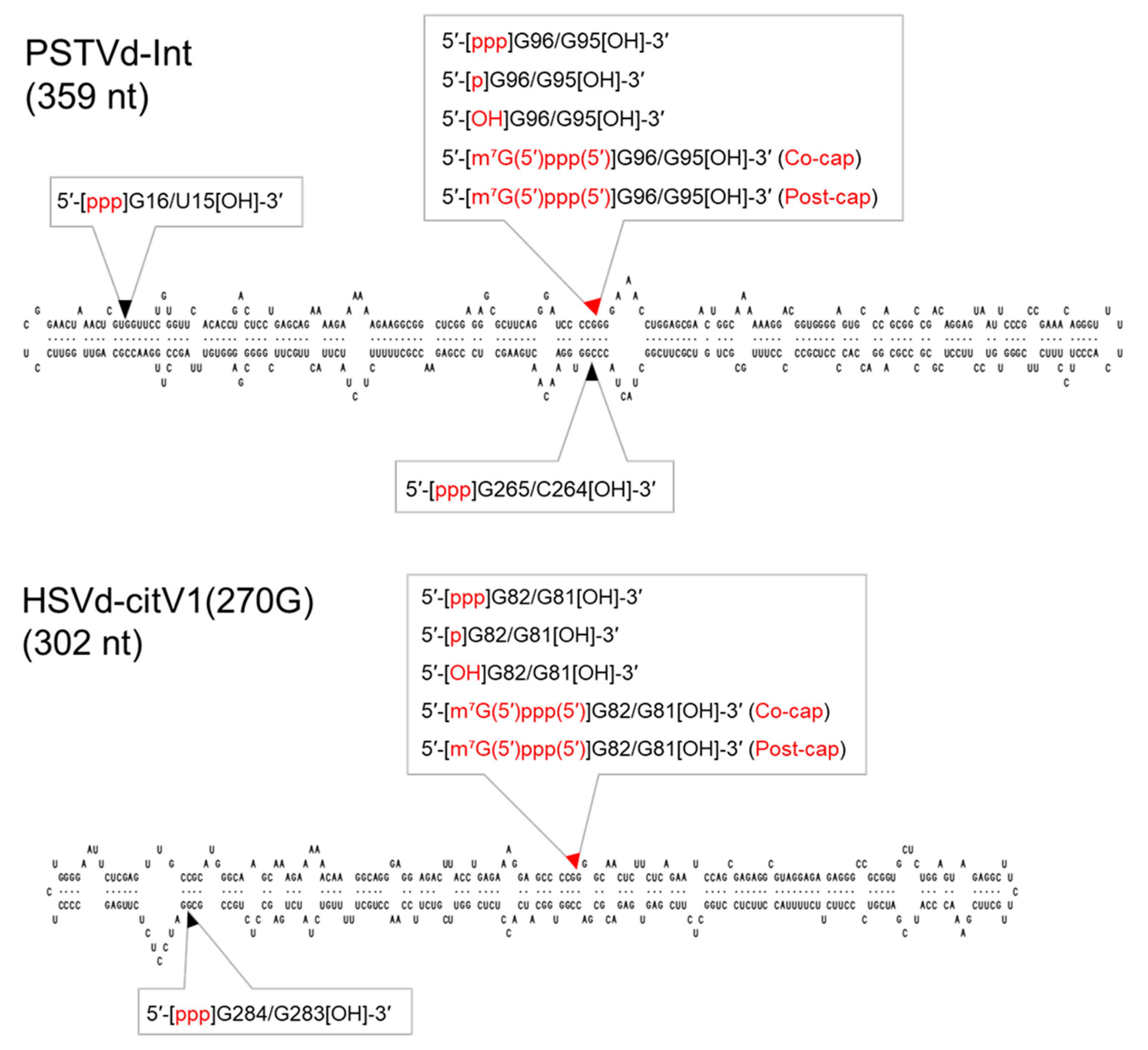 Cells 10 02971 g002 Cells 10 02971 g002