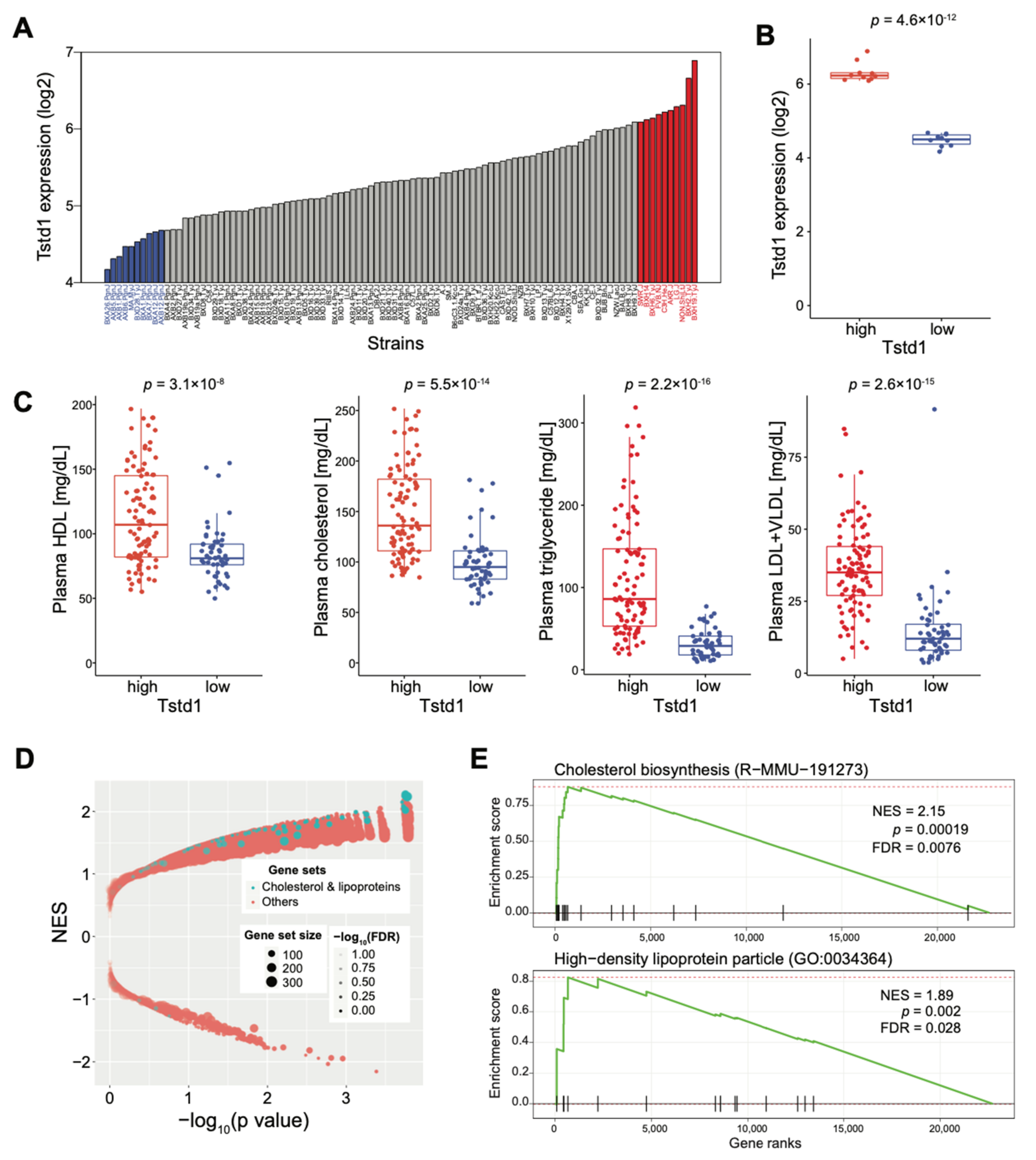 Cells 10 02976 g007 Cells 10 02976 g007