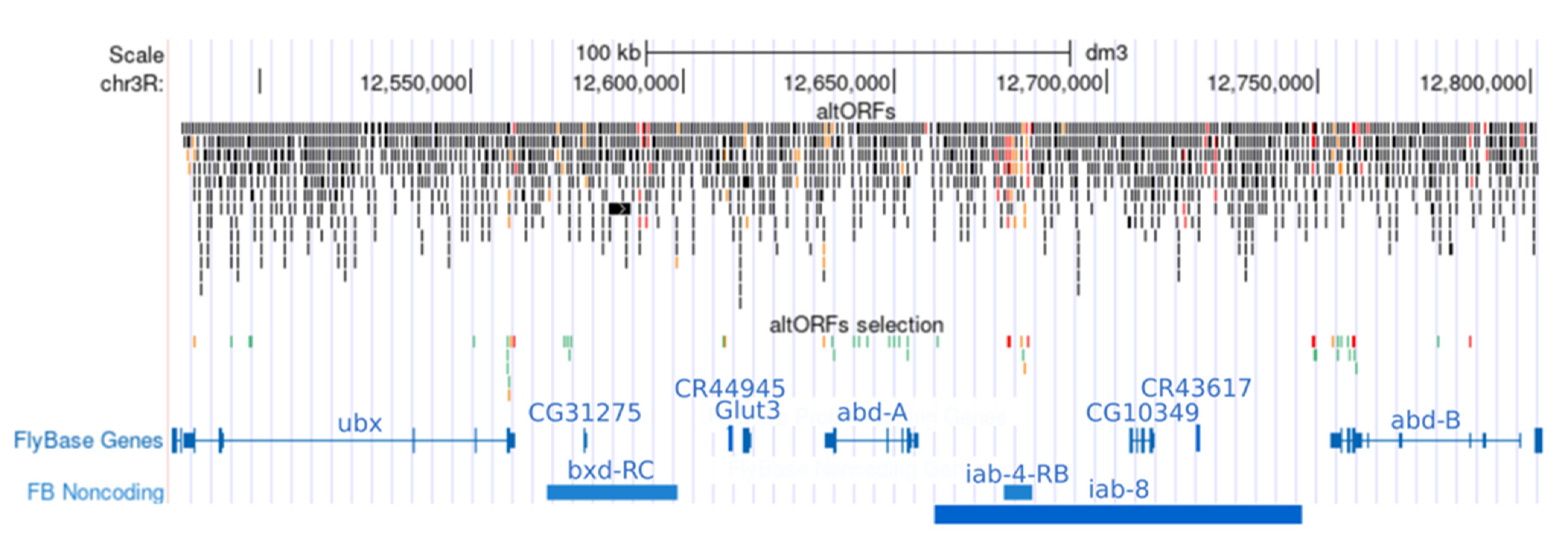 Cells 10 02983 g002
