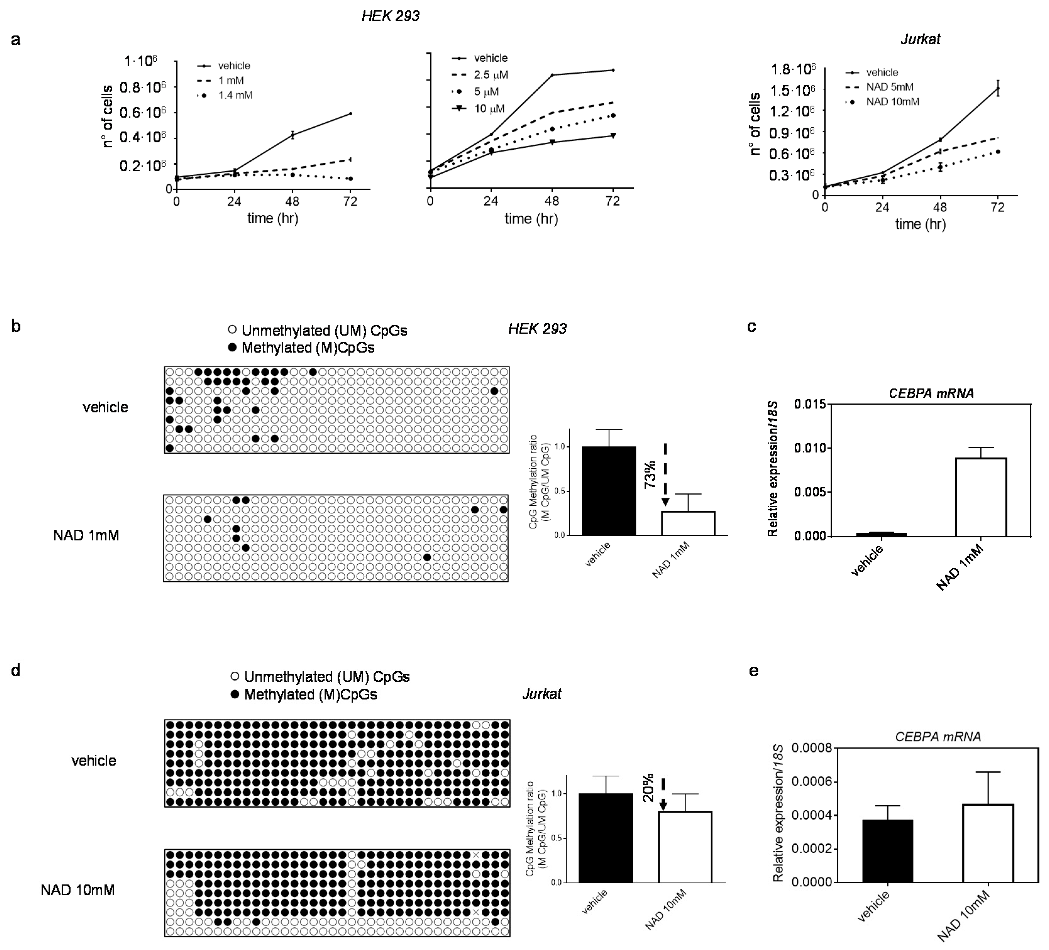 Cells 10 02986 g004 Cells 10 02986 g004
