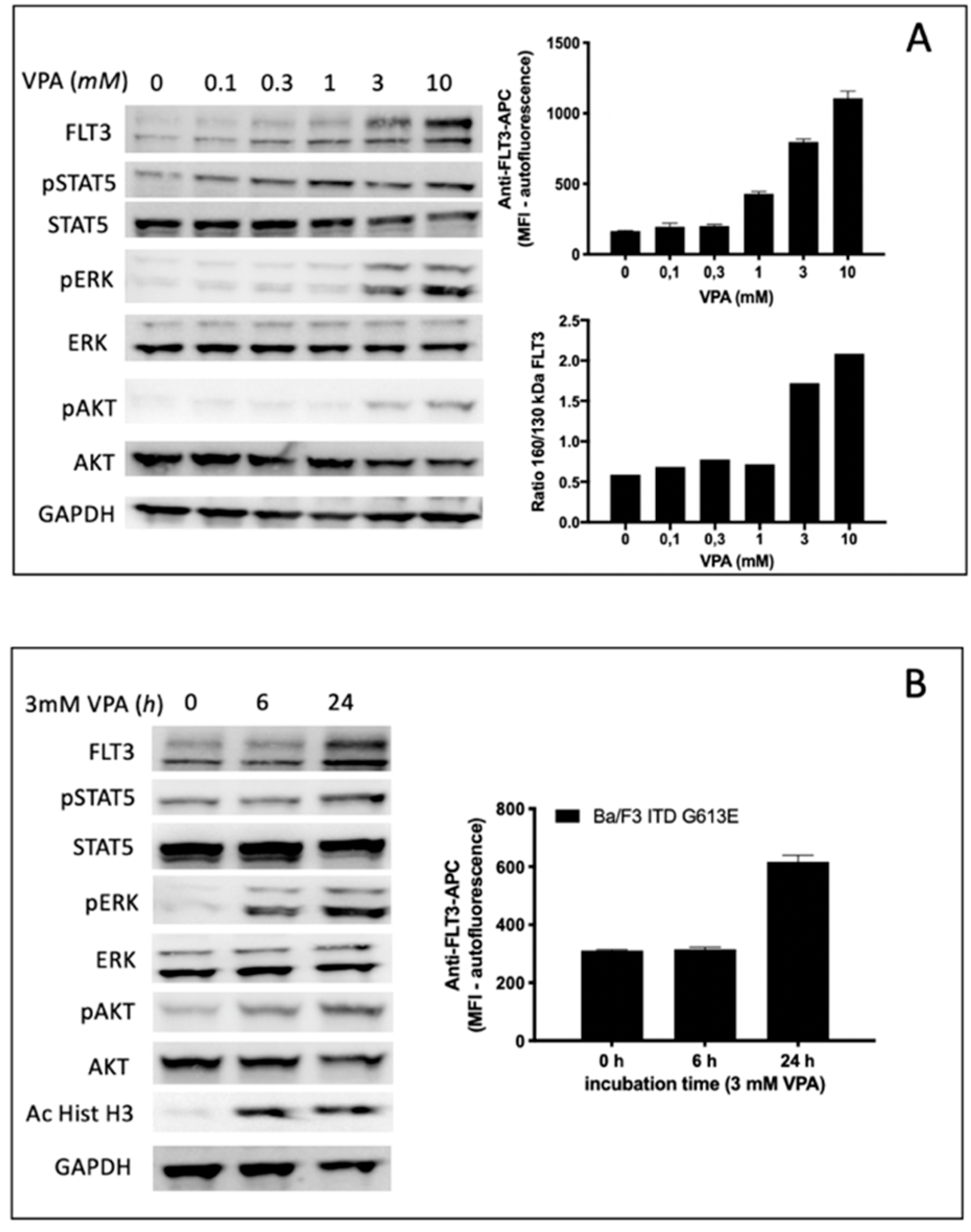 Cells 10 02992 g005a