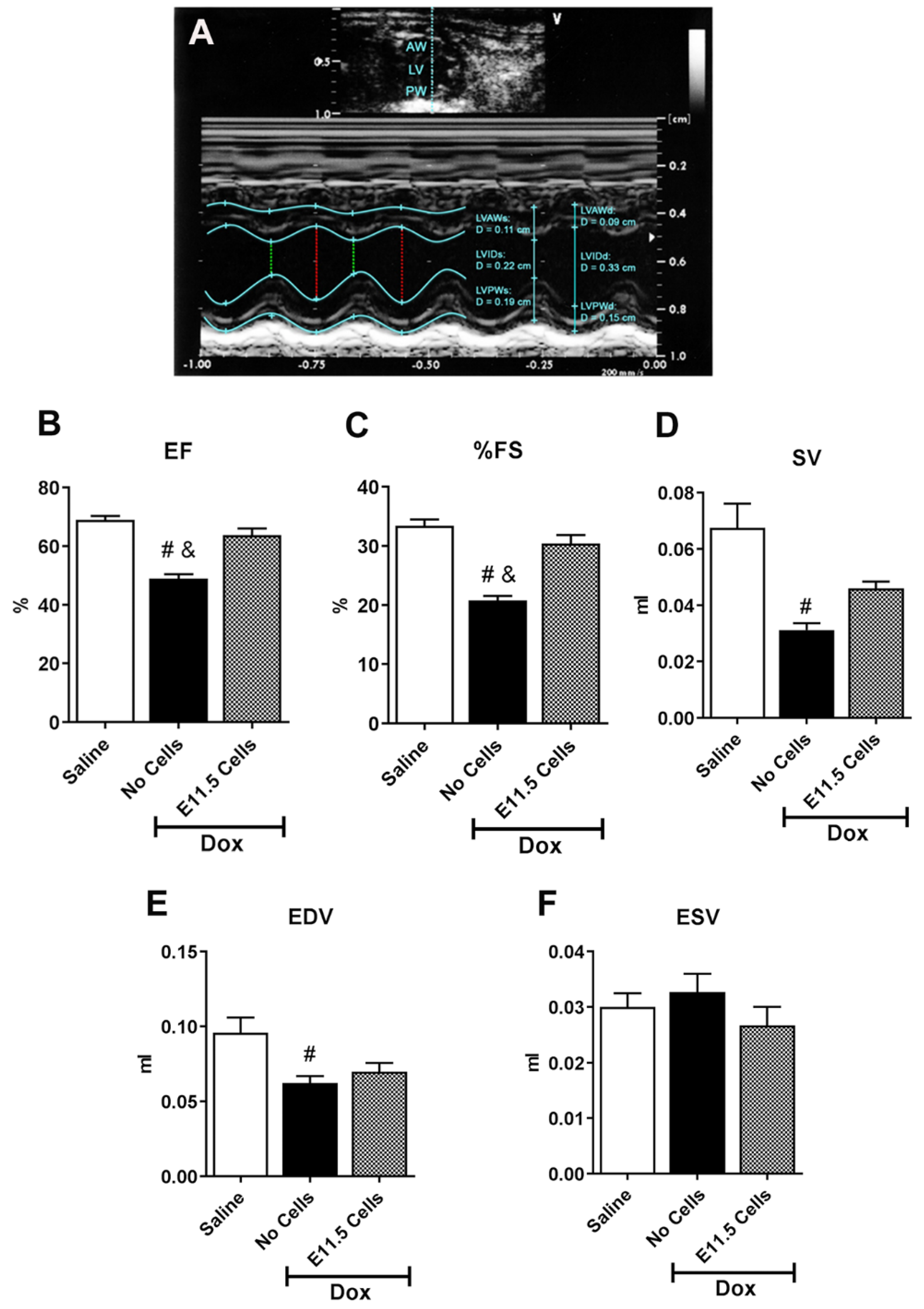 Cells 10 02998 g008 550