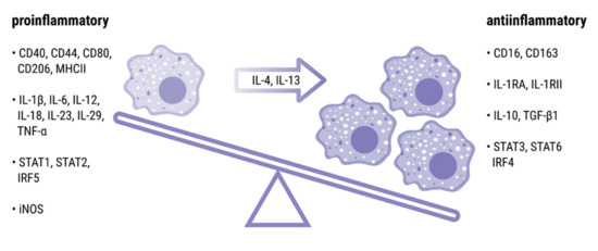 Significance of Interleukin (IL)-4 and IL-13 in Inflammatory Arthritis