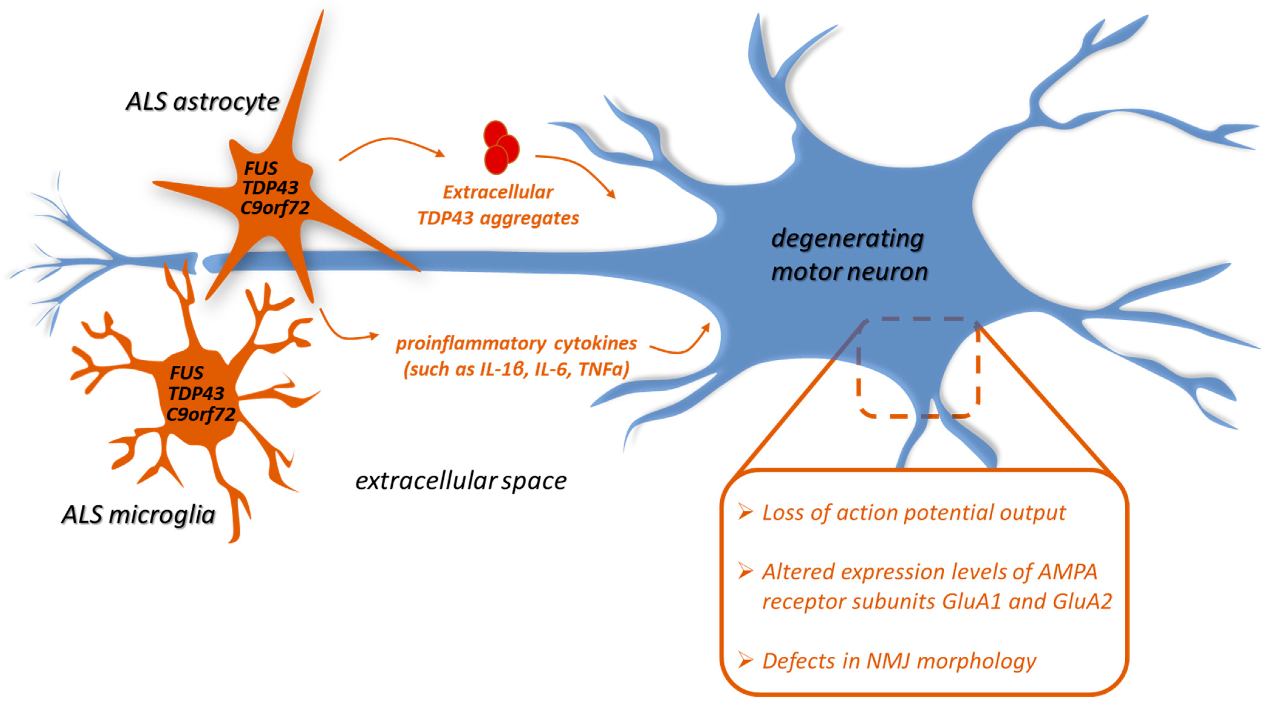 Cells 10 03005 g001 Cells 10 03005 g001